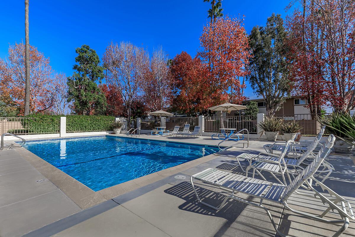 The community pool surrounded by chairs