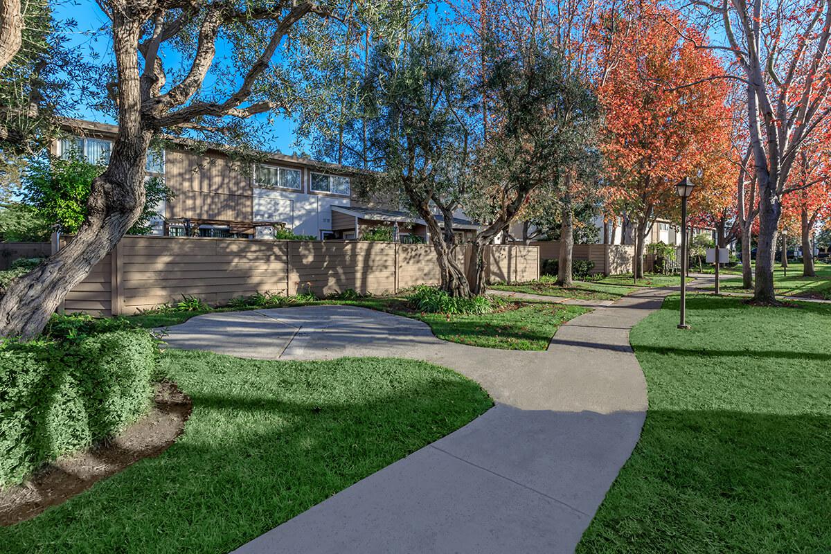 Walkway in front of community buildings with green trees