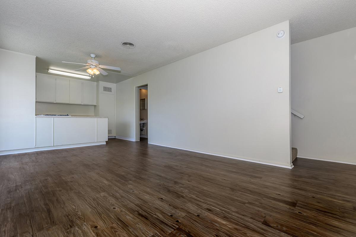 Living room and kitchen with wooden floors