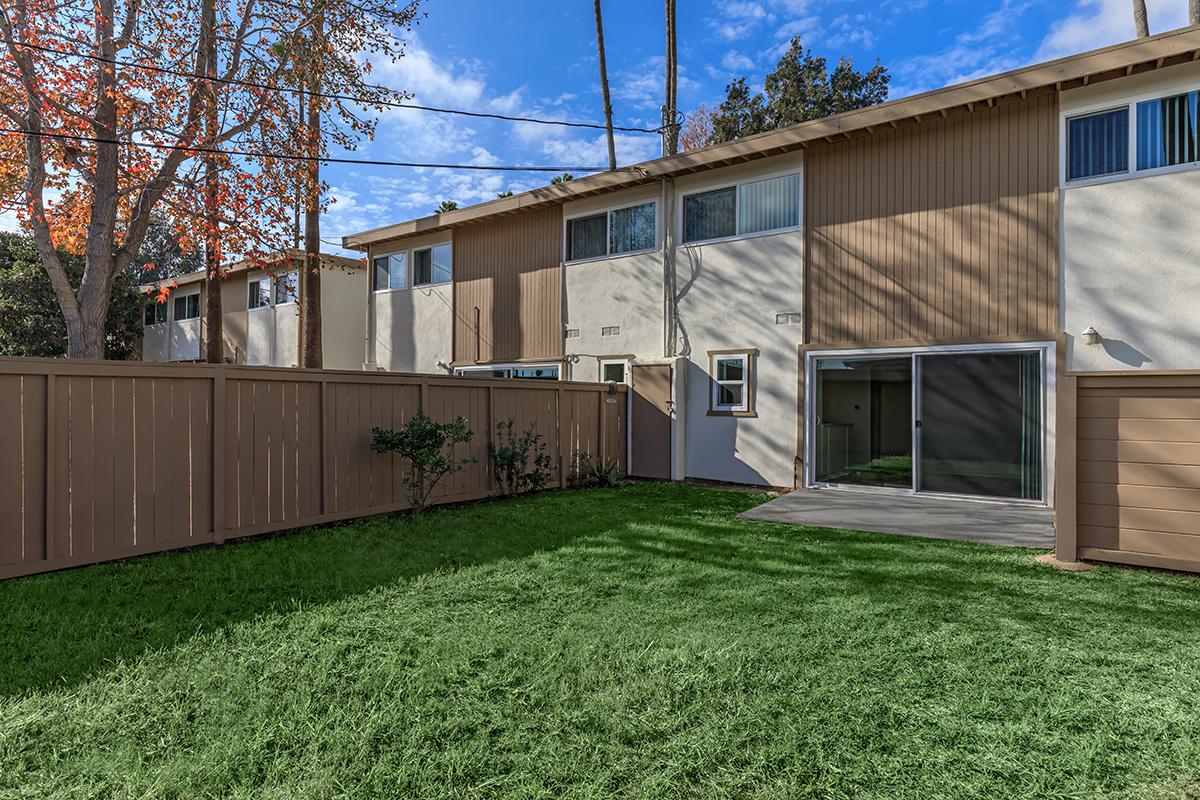 Backyard with green grass