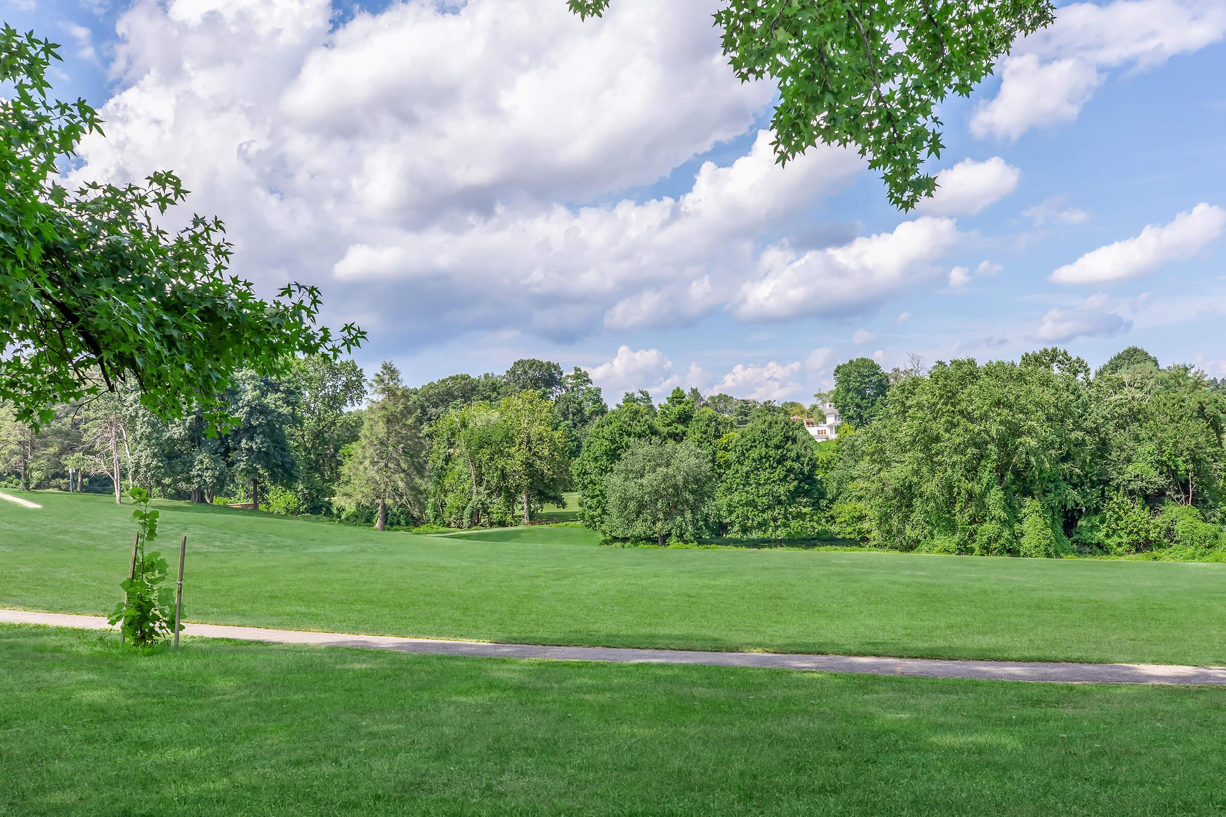 Lush green field under a bright blue sky with fluffy white clouds. Trees line the background, creating a serene natural landscape. A pathway is visible in the foreground, inviting leisurely walks through the peaceful scenery.