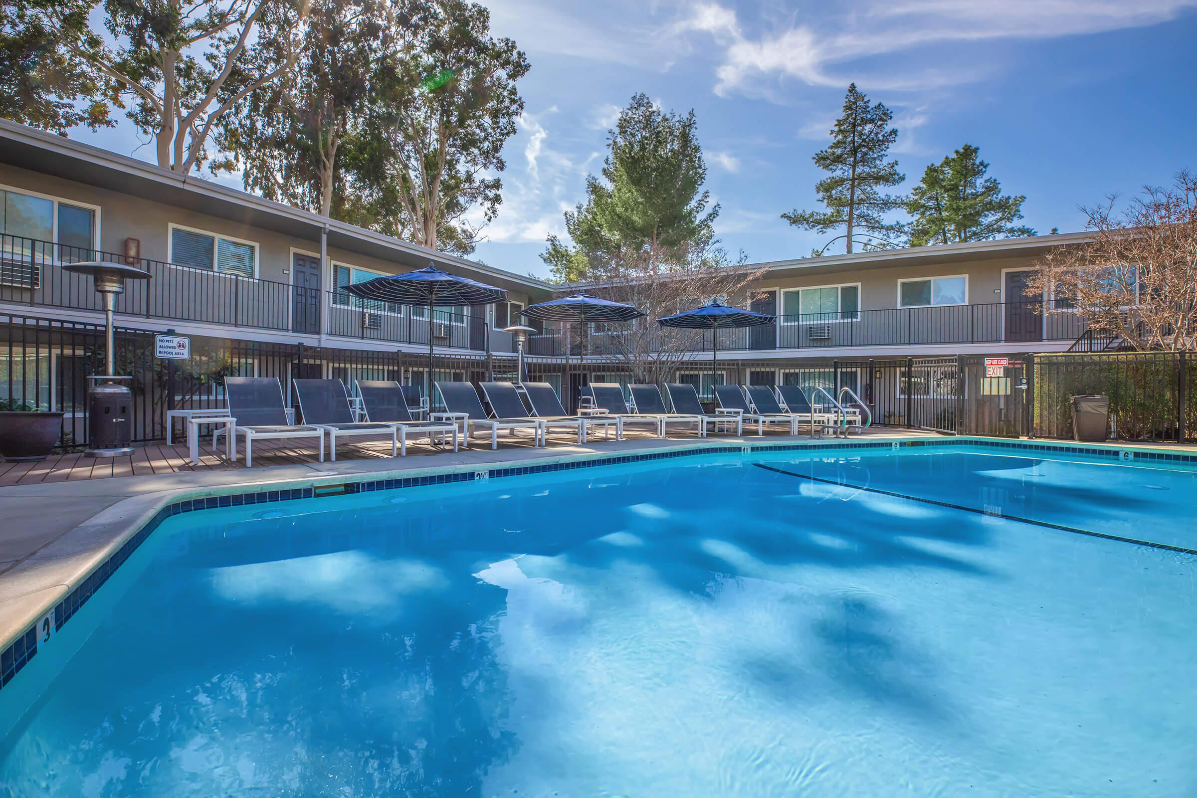 Pool at Park Lafayette in Lafayette CA