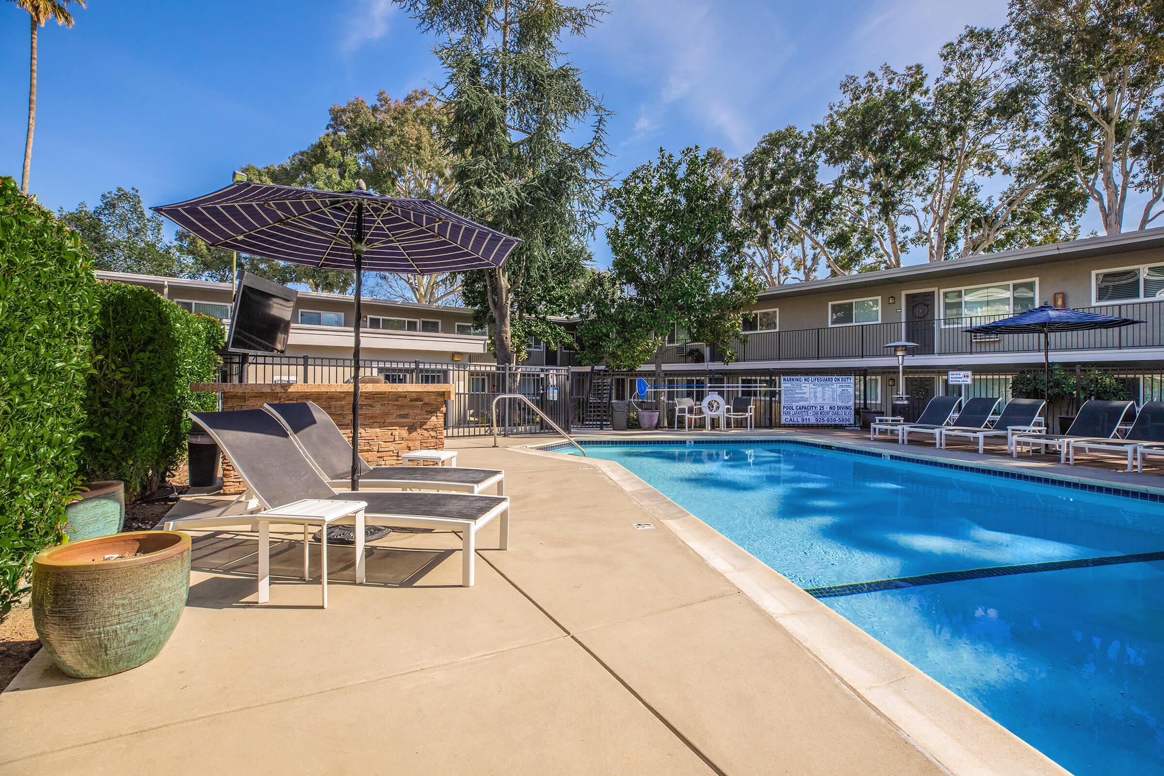 Pool at Park Lafayette in Lafayette CA