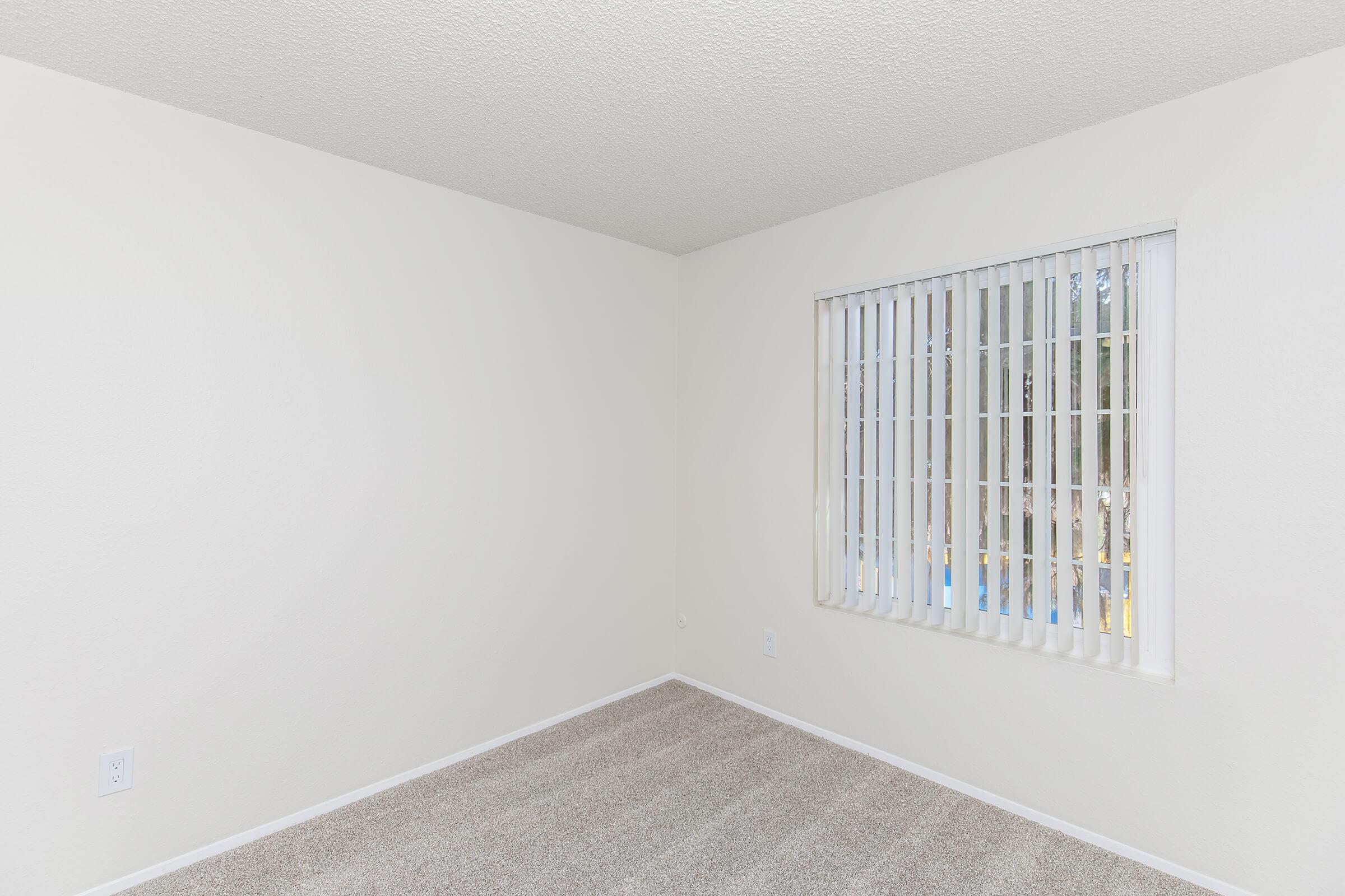 A blank, unfurnished room with light beige carpet and white walls. A window with vertical blinds allows natural light to enter, revealing a view of an outdoor area with greenery. The room is spacious and minimalistic, ideal for personalization or staging.