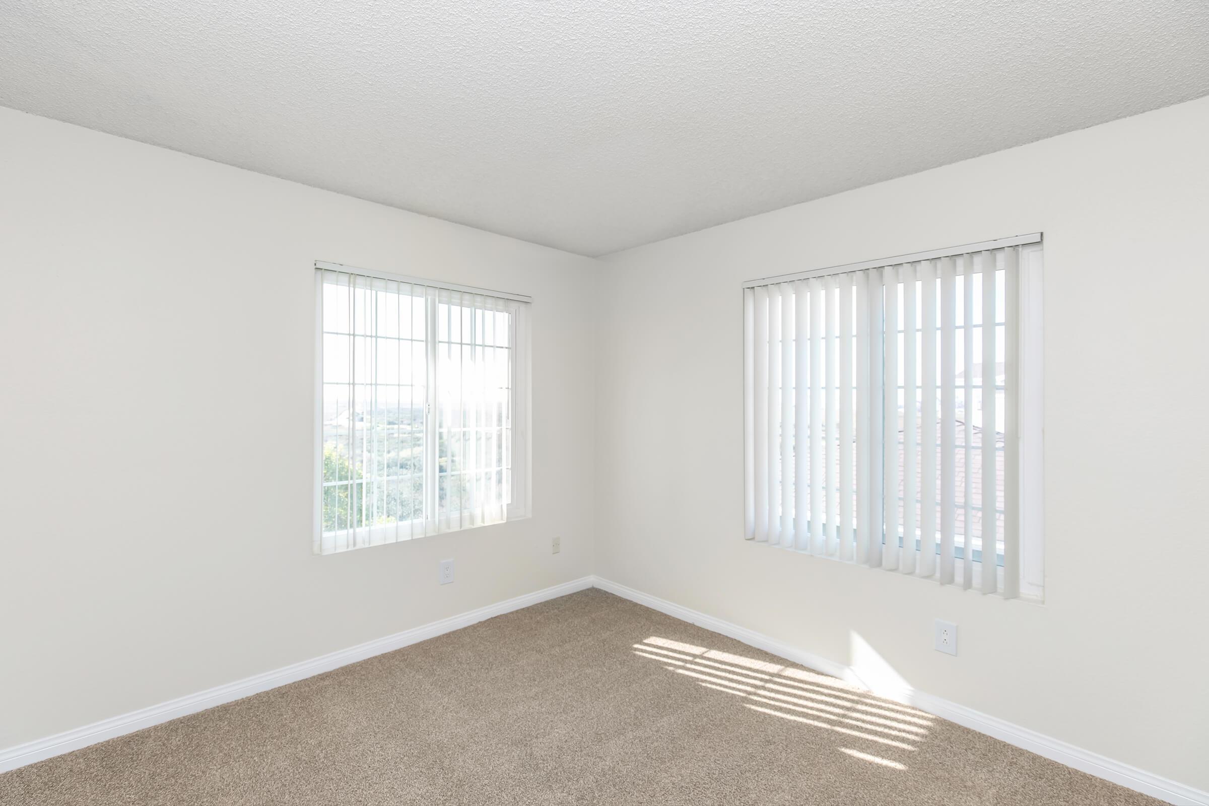 A bright, empty room with beige carpet and white walls. Two tall windows with horizontal blinds allow natural light to enter. The space has a clean, minimalistic look, ideal for various uses such as a bedroom or office.