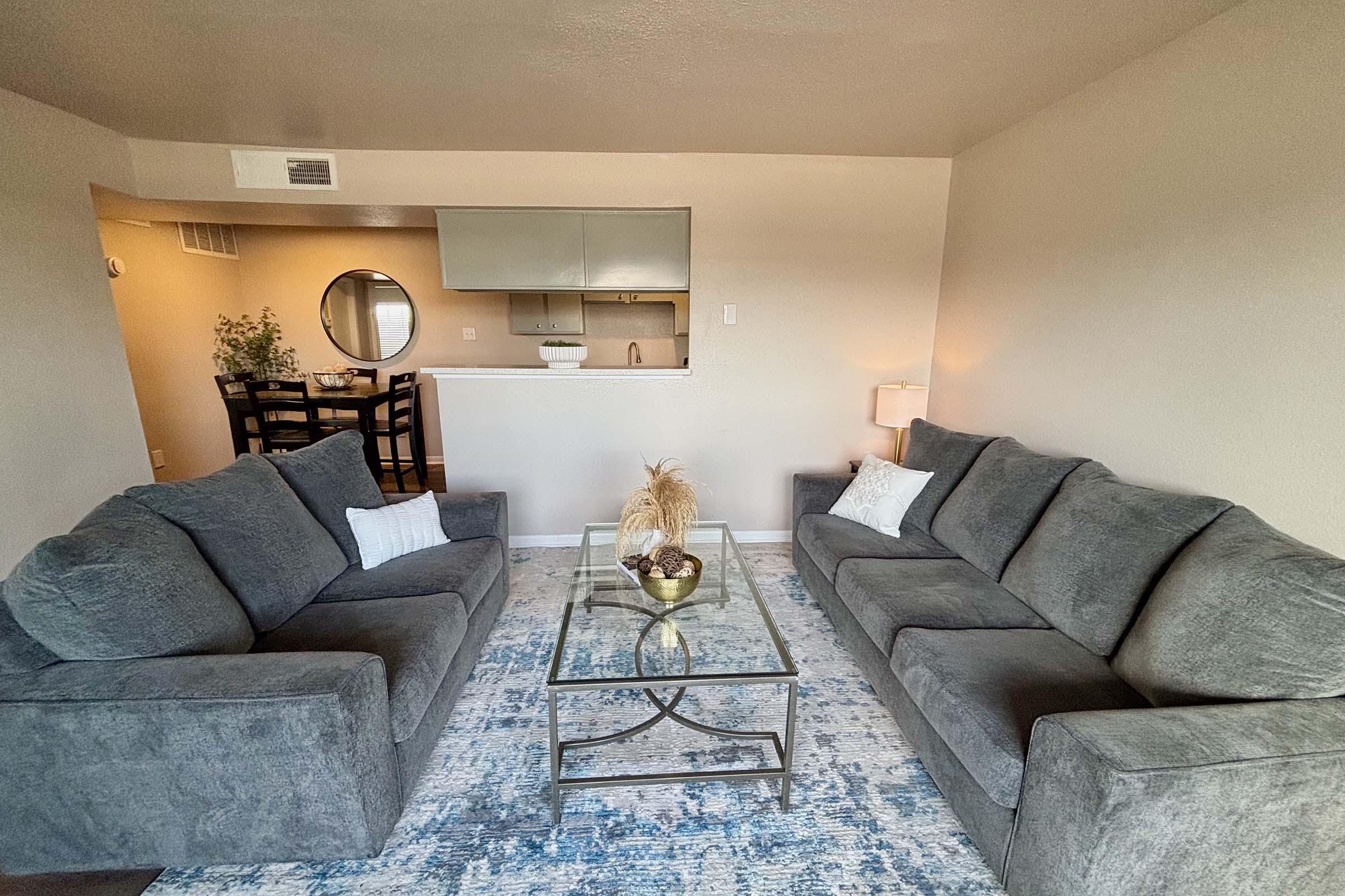 Apartment Features