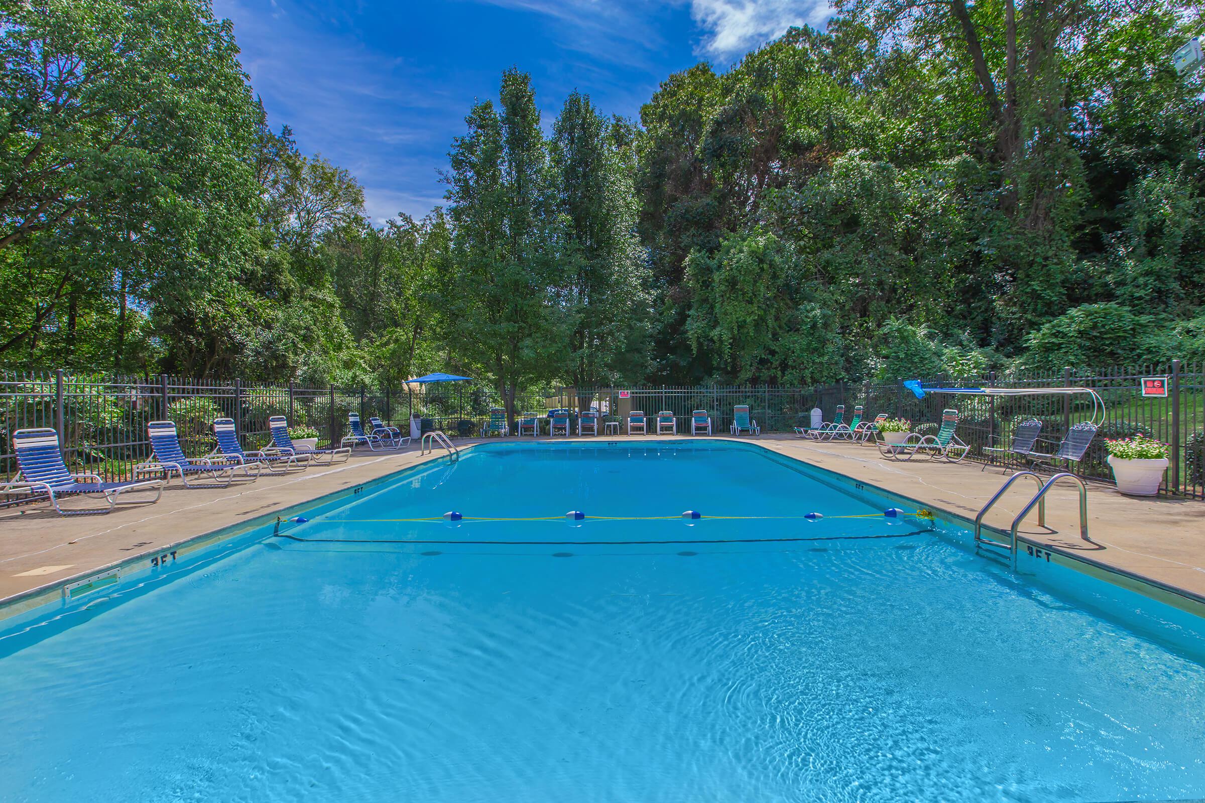 a group of people swimming in a pool of water