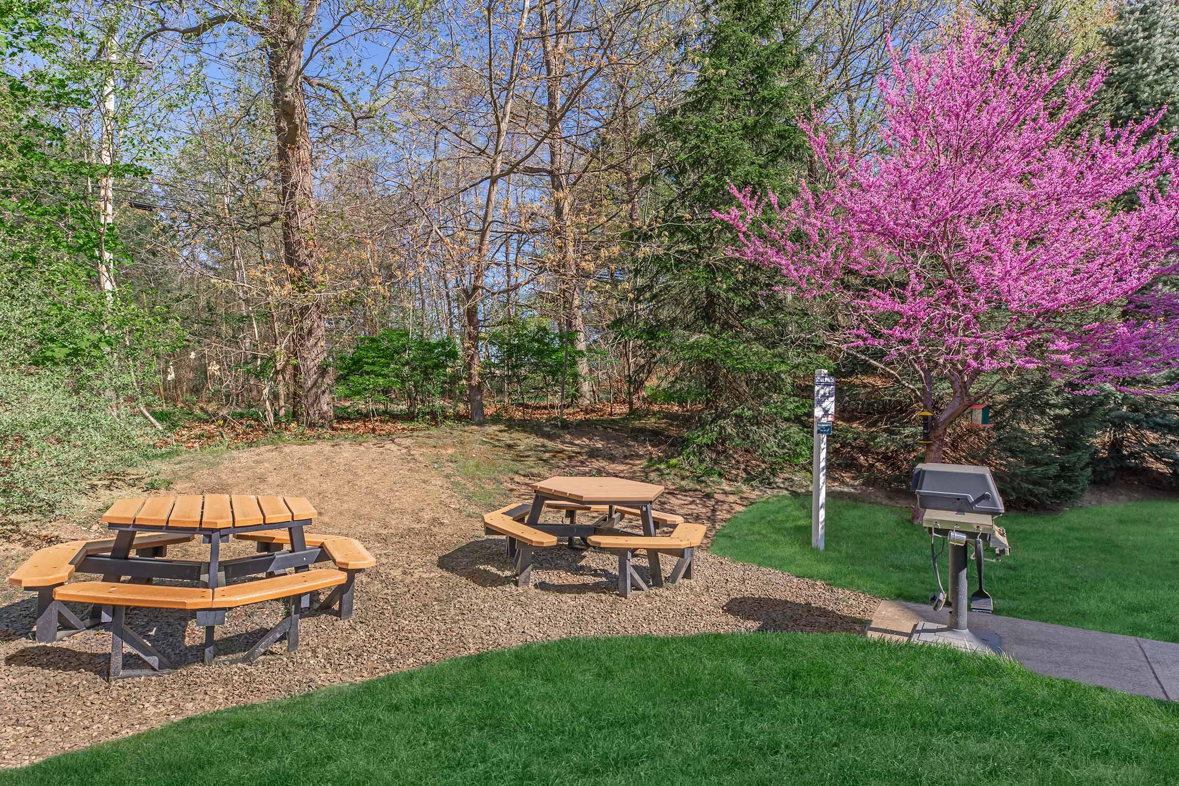 A serene outdoor picnic area featuring two wooden tables with benches, surrounded by lush greenery and blooming pink flowers. A grill is nearby on a concrete pad, with trees and a clear blue sky in the background, creating a peaceful and inviting atmosphere for gatherings.