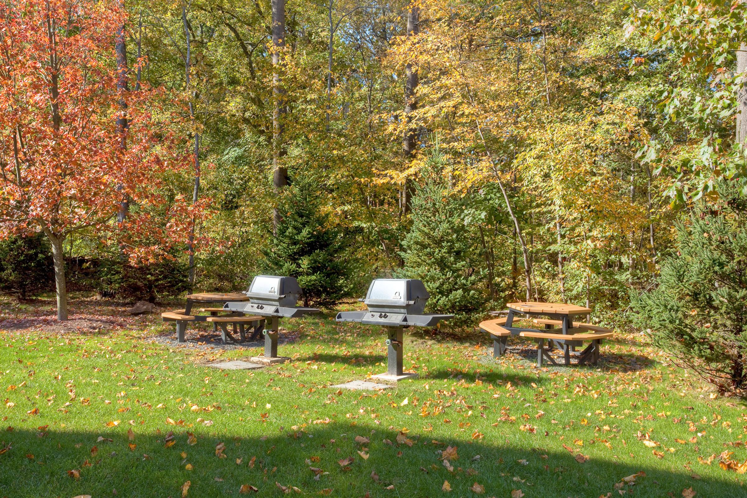 an empty park bench next to a tree