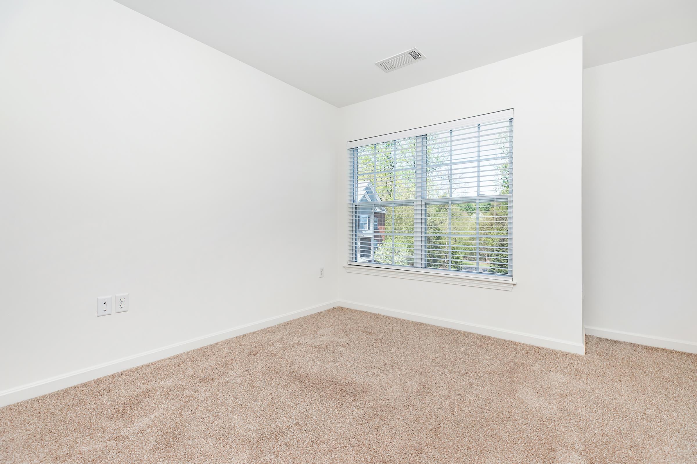 A clean, empty room with light beige carpet and white walls. There's a large window with white blinds, allowing natural light to enter. The view outside includes trees and a glimpse of a building. The room has minimal decor, creating a spacious feel.