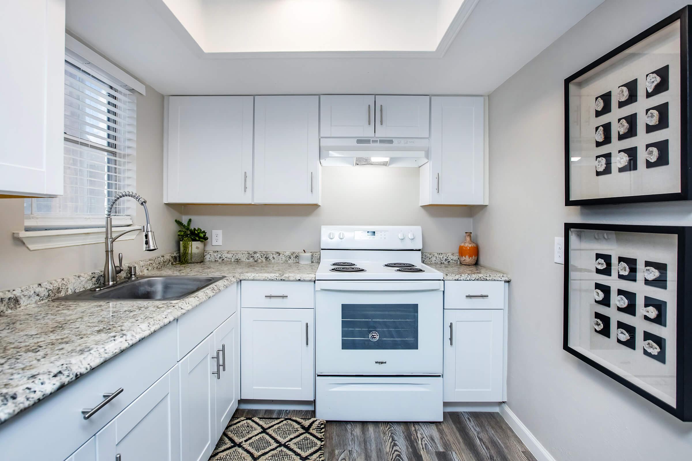 Modern kitchen featuring white cabinets, a light gray granite countertop, and an electric stove with a vent hood. There is a stainless steel sink with a single handle faucet, along with a decorative plant. Two framed art pieces are displayed on the wall, adding an elegant touch to the space.