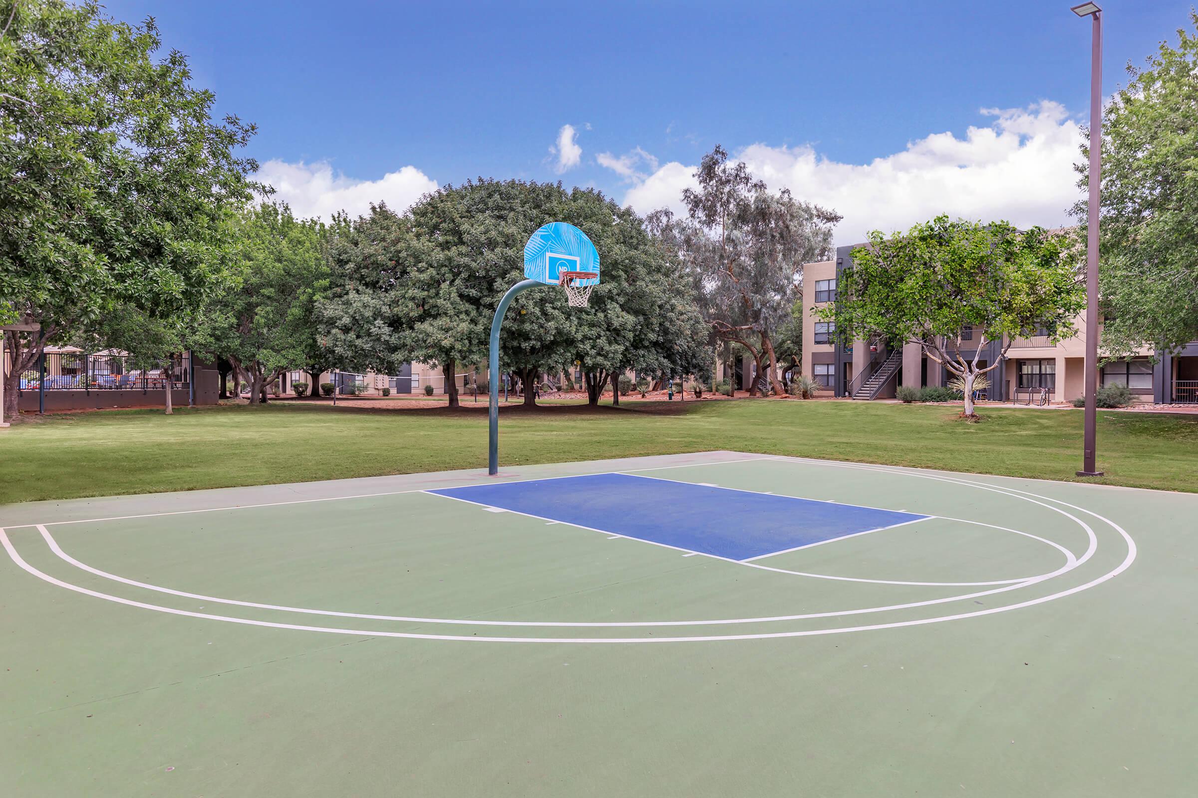 a close up of a basketball game in a park