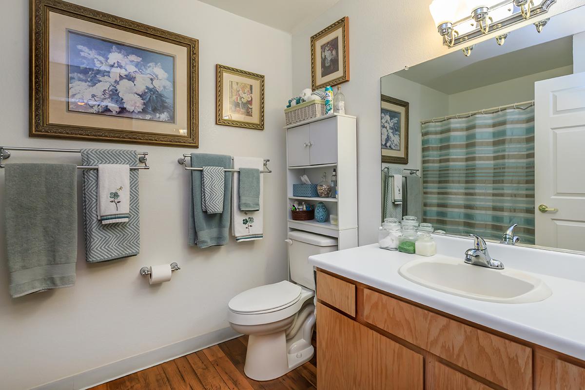 a white sink sitting under a mirror