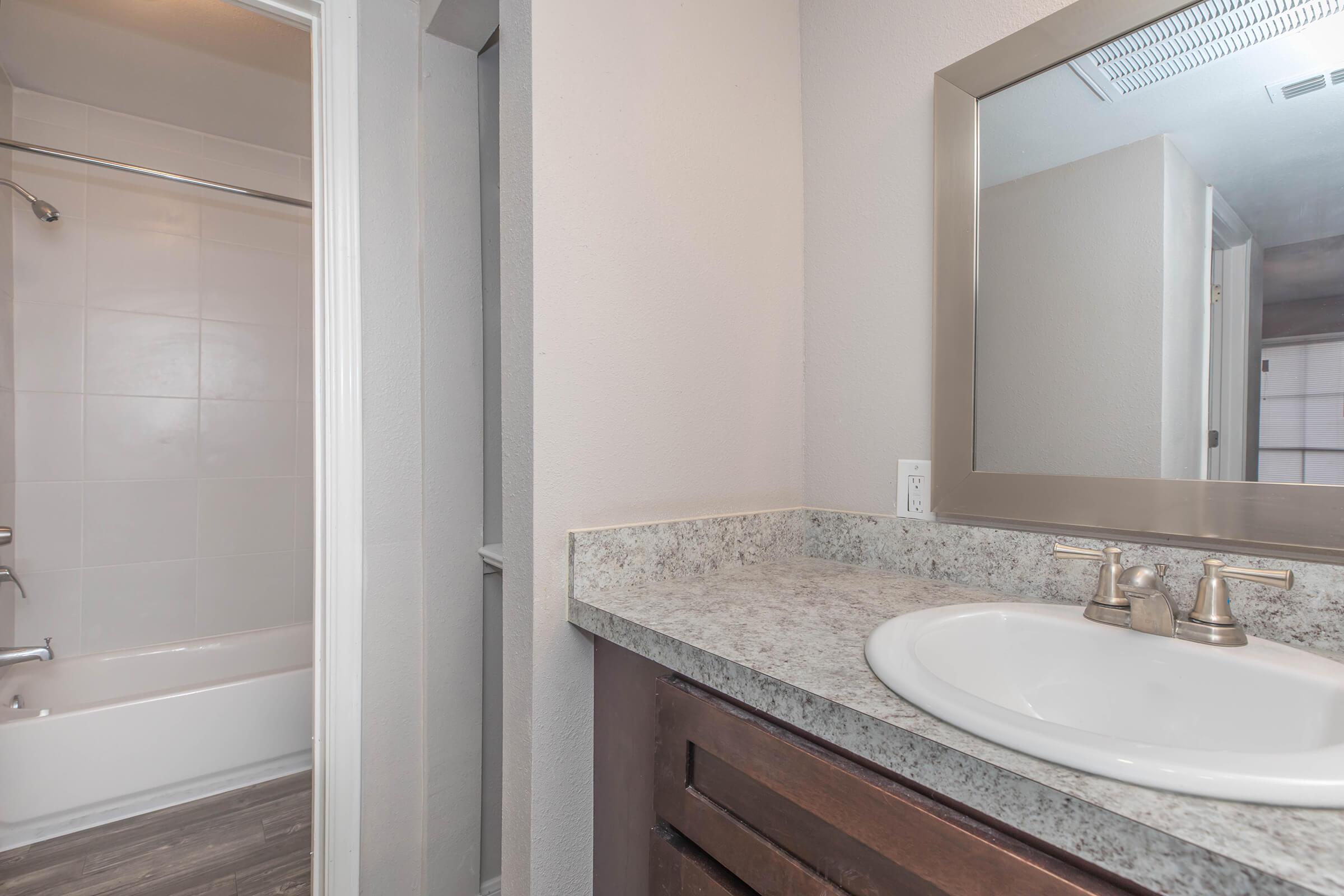 a sink and a mirror