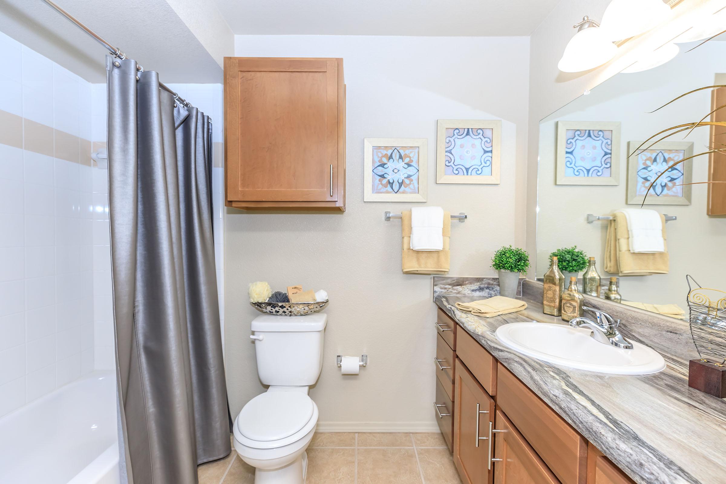 SLEEK BATHROOM DESIGNS FOR RENT IN CORPUS CHRISTI, TX