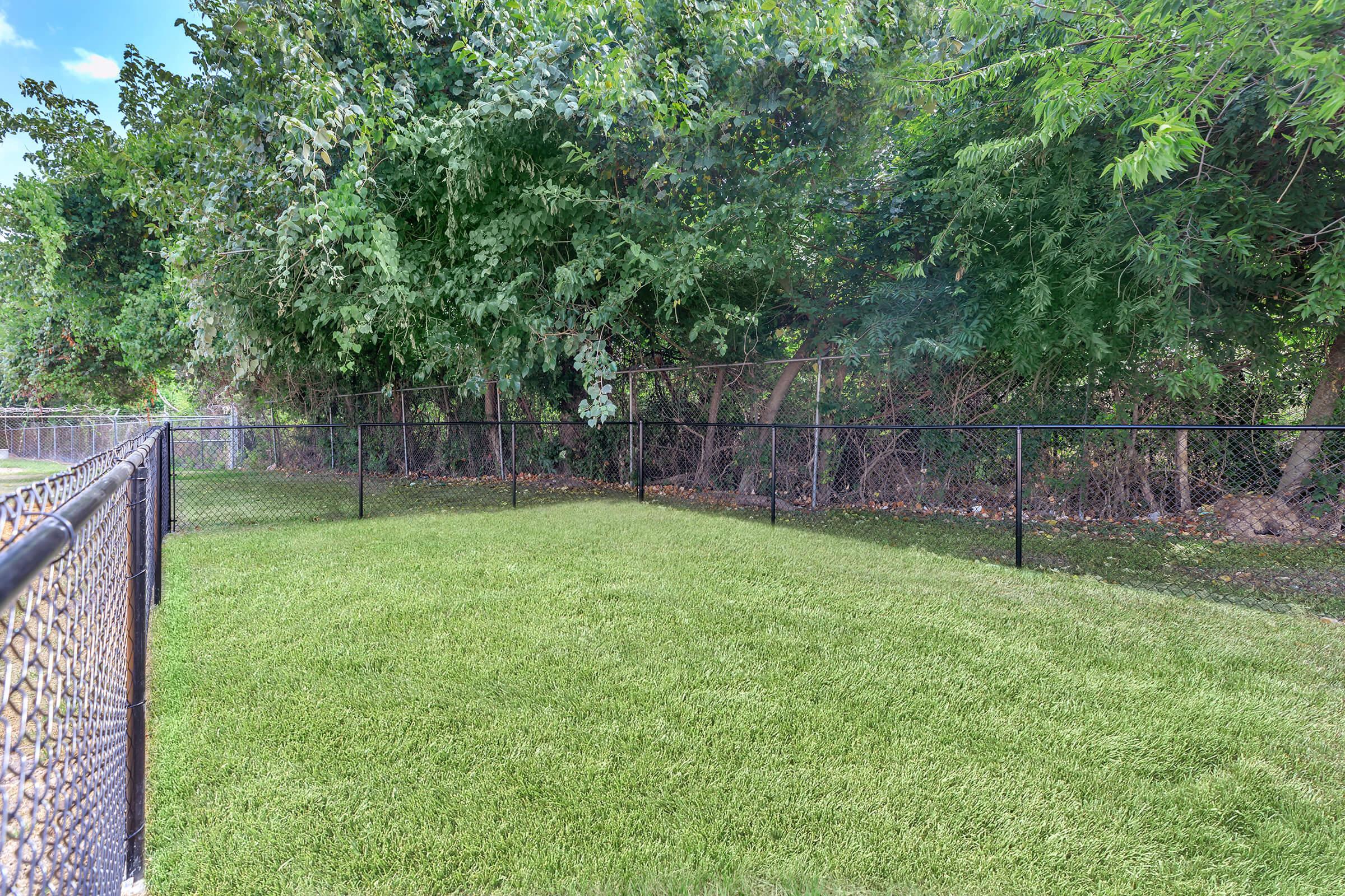 A fenced grassy area surrounded by trees, with a well-maintained lawn. The fence is black and the scene conveys a calm outdoor space suitable for pets or recreational activities.