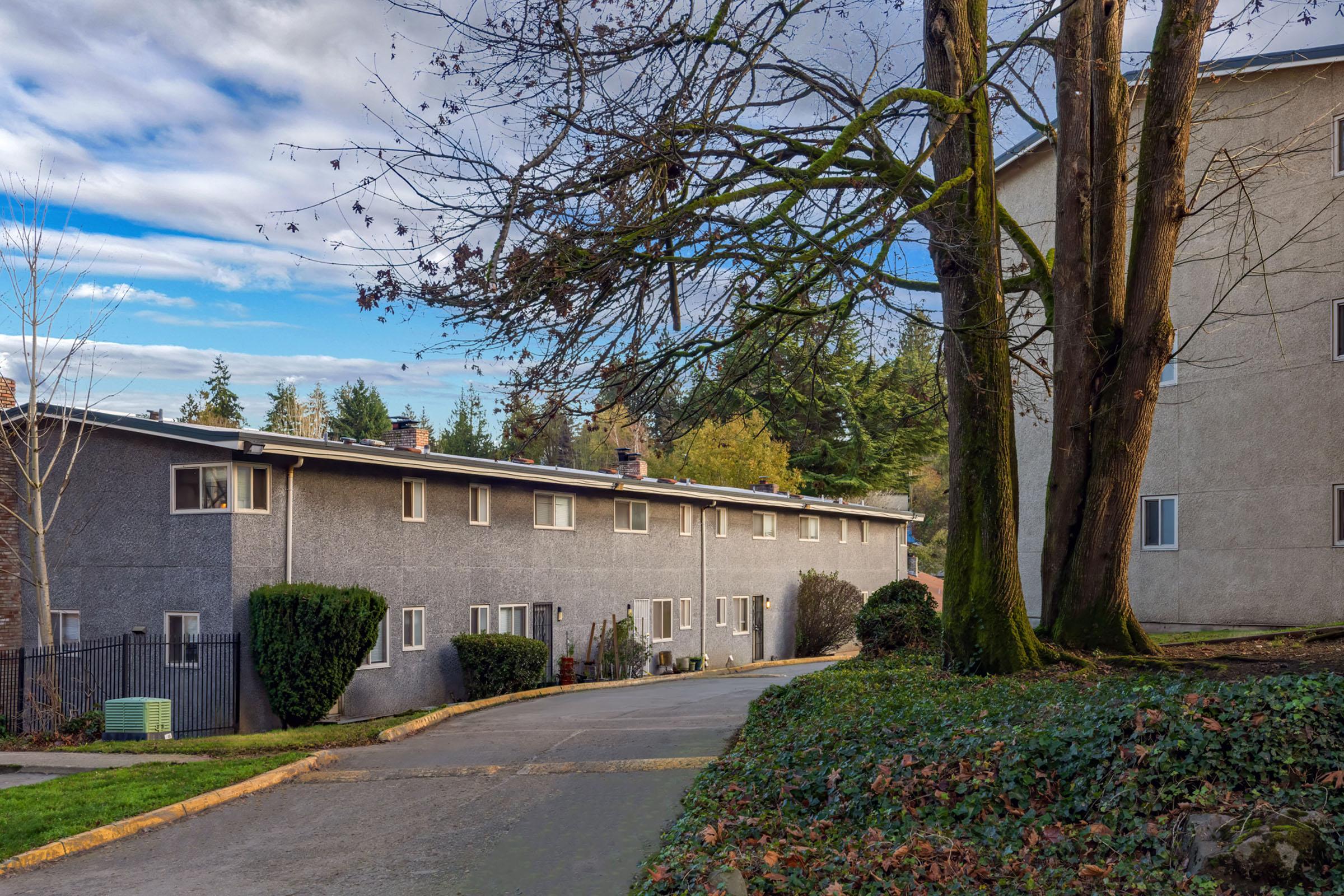 A narrow driveway leads between two residential buildings surrounded by trees. One building is gray with multiple windows, while the other is lighter in color. The scene features a clear sky with some clouds and a mix of greenery, including bushes and fallen leaves along the pathway.