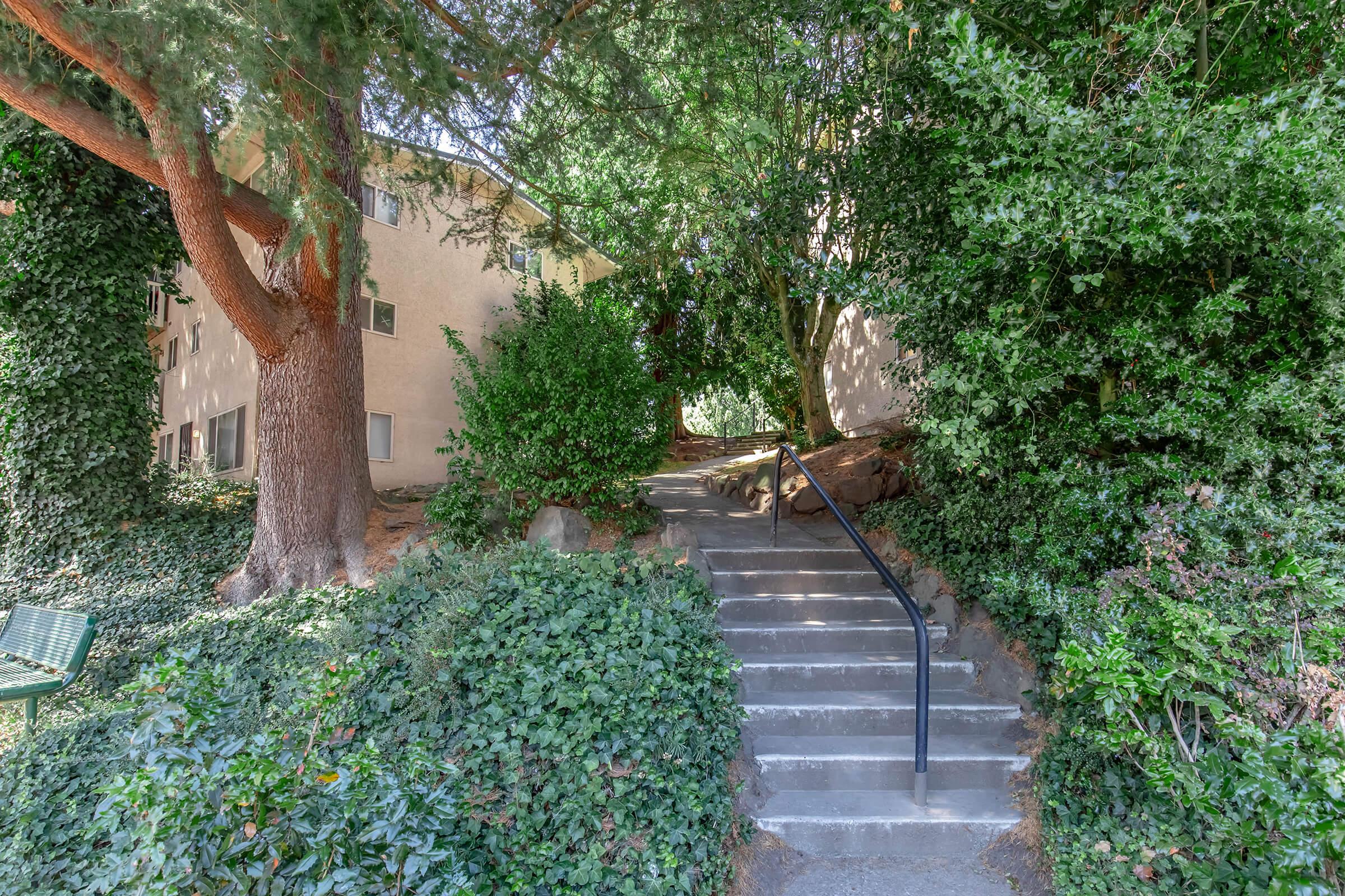 A pathway leading to a building, surrounded by lush greenery and trees. Stone steps ascend through dense ivy and shrubs, creating a natural entrance to the area. Soft sunlight filters through the leaves, enhancing the serene and inviting atmosphere.