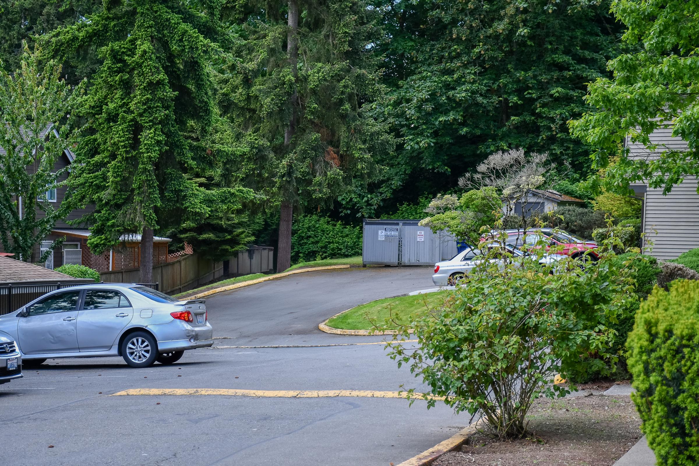 A view of a residential area with a winding road. Several parked cars are visible, including a silver sedan and a red vehicle. Lush green trees and shrubs line the street, providing a natural backdrop. In the distance, a dumpster is located near a building, with a small portion of a house and garden visible.