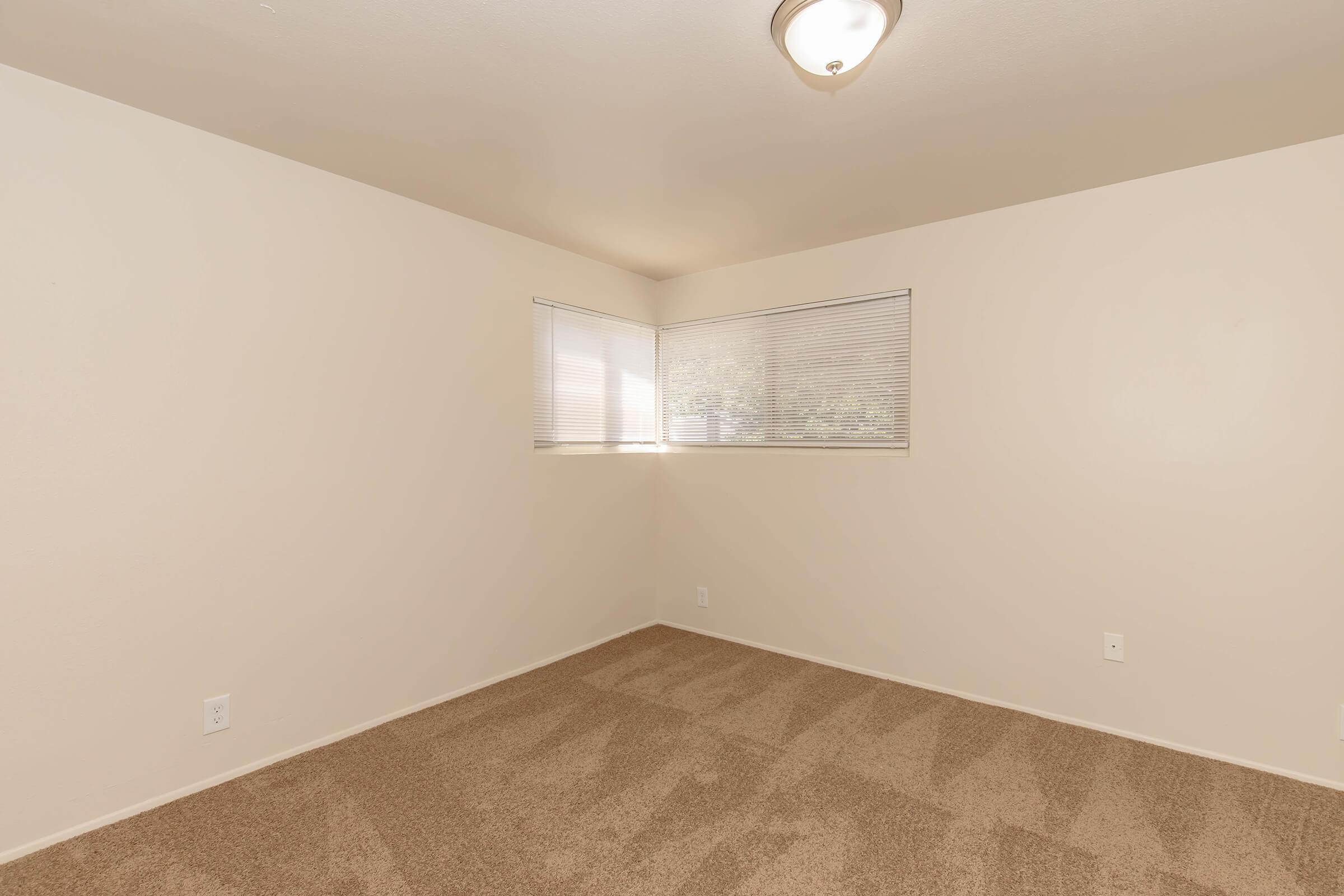 Empty room with light beige walls and carpeted floor. A single window with blinds allows natural light to enter. The room is unfurnished, creating a spacious, minimalist atmosphere. The ceiling has a flush-mounted light fixture.
