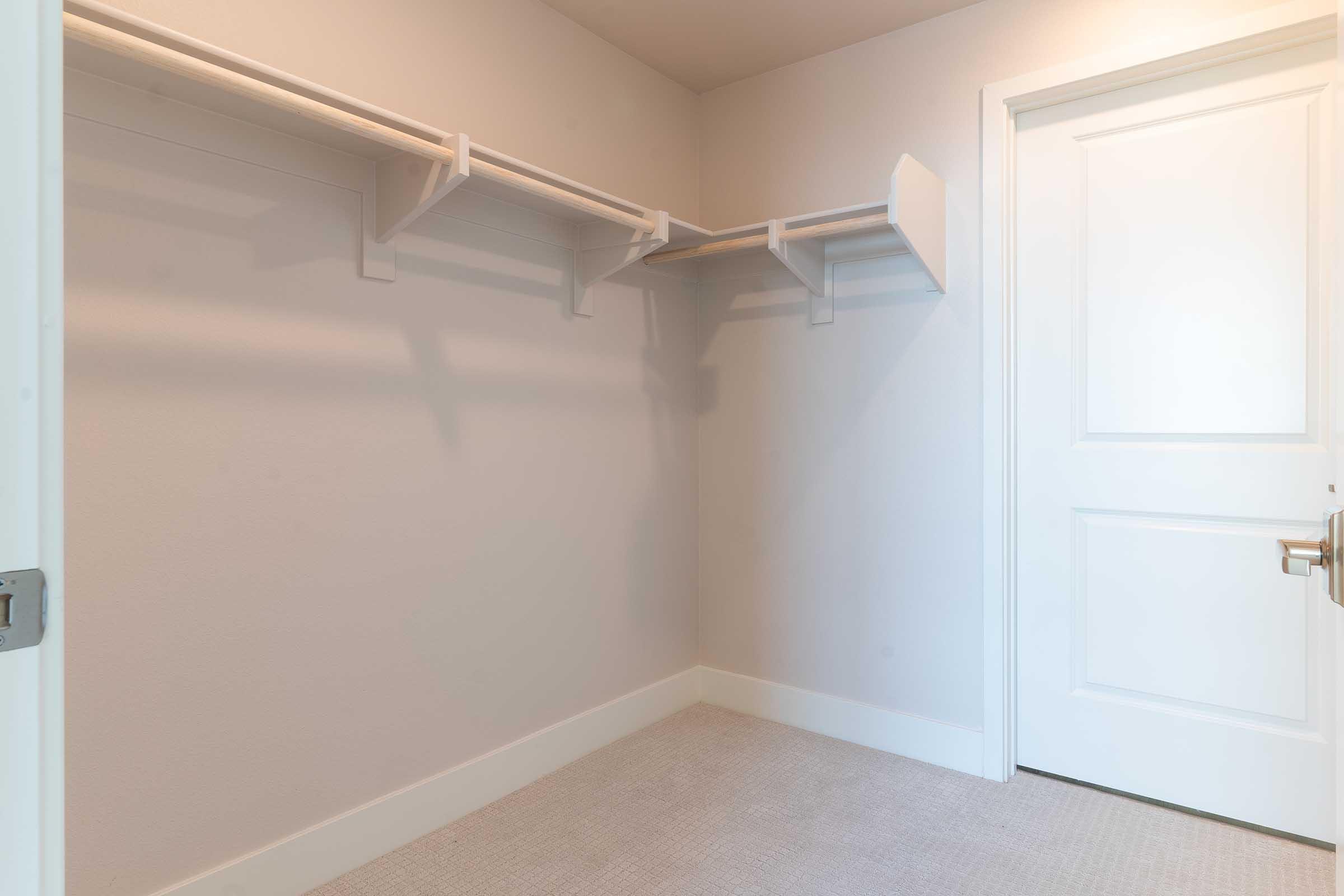 Empty closet with two shelves on the wall, light-colored walls and carpet, and a white door.