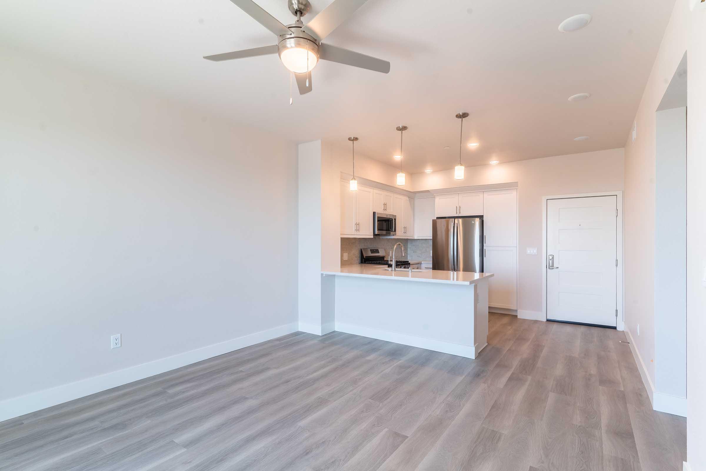 Spacious modern kitchen and living area with light wood flooring, a ceiling fan, stainless steel appliances, quartz countertops, and sleek cabinetry. The entrance features a white door, and large windows allow natural light to fill the space.