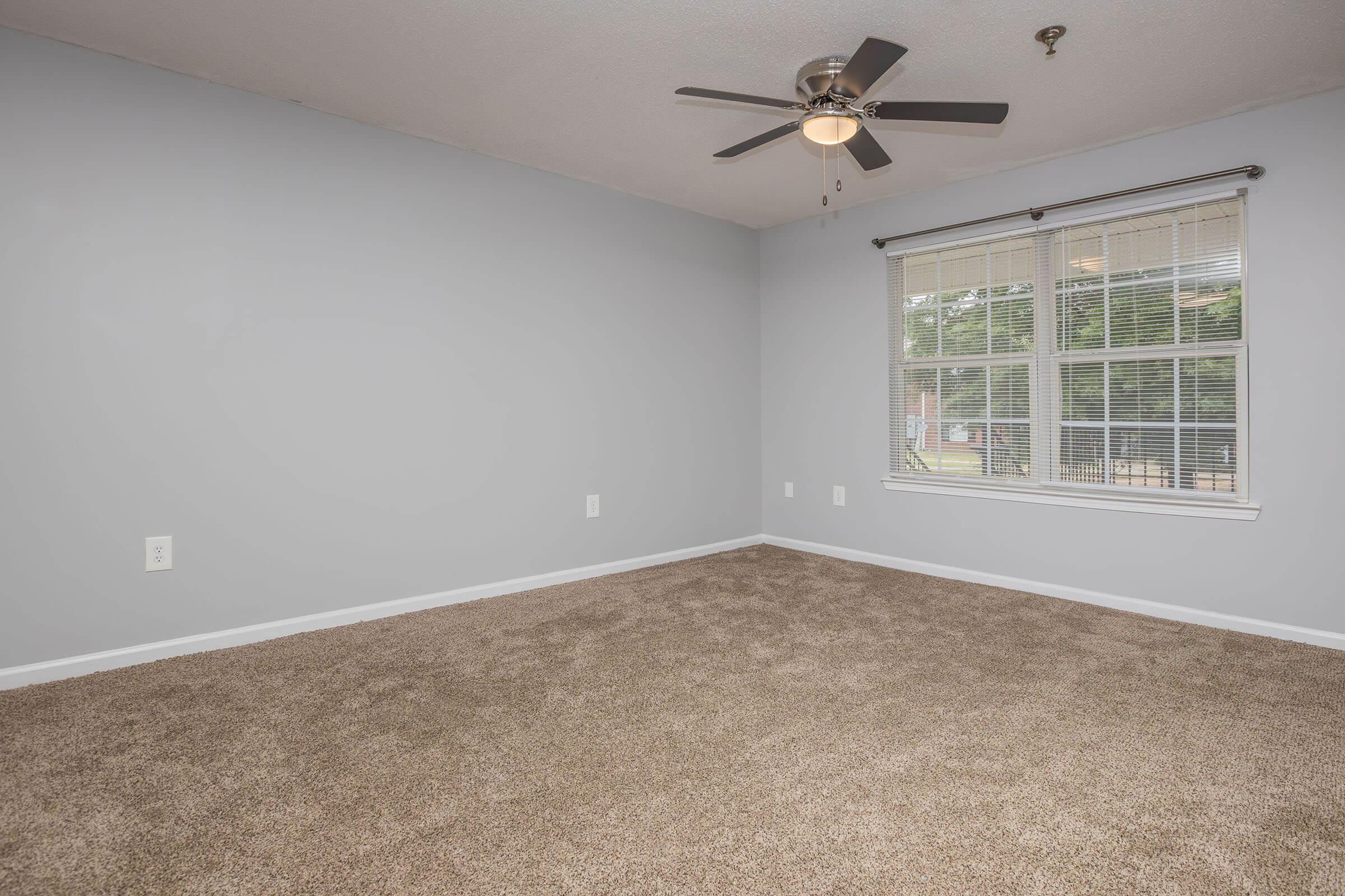 A bright, empty room featuring light gray walls and plush beige carpet. There is a ceiling fan with light fixtures installed, and a large window with white blinds that lets in natural light. The overall ambiance is clean and spacious, suitable for various uses.