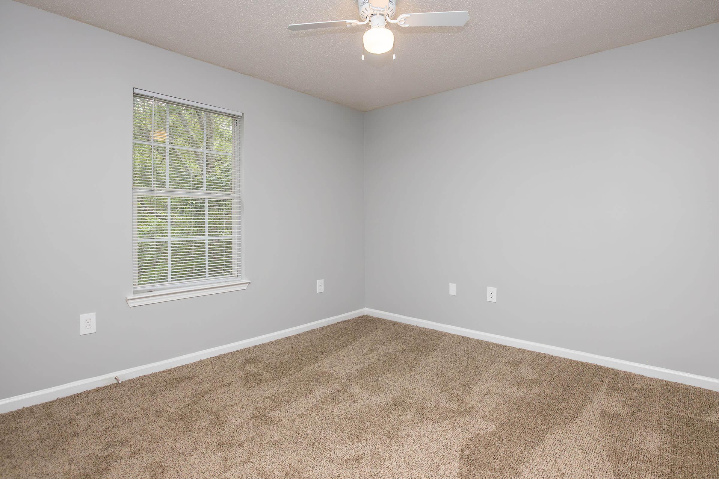 Empty room with light gray walls and carpeted floor. A ceiling fan is installed, and there is a window with blinds letting in natural light. The space is clean and uncluttered, suitable for various uses such as a bedroom or office.