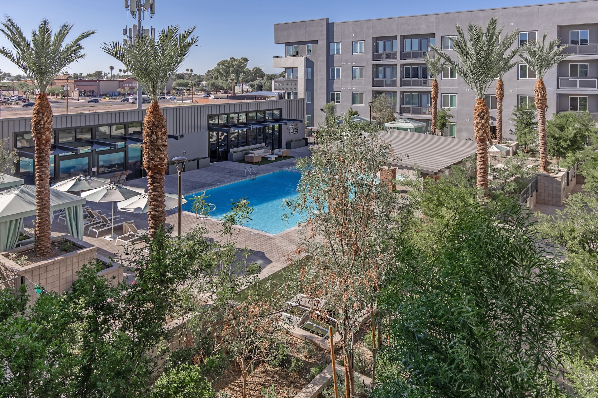 A modern apartment complex featuring a swimming pool surrounded by palm trees and lounge chairs. The area includes landscaped greenery and a building with large windows. The scene is set in a sunny environment, suggesting a warm climate.