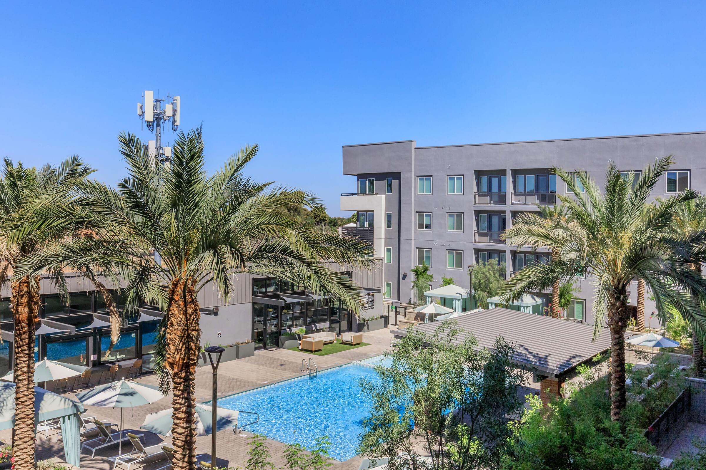 A modern hotel featuring a large swimming pool surrounded by palm trees. There are lounge chairs and umbrellas by the pool. The building has multiple floors and large windows, with a clear blue sky overhead.