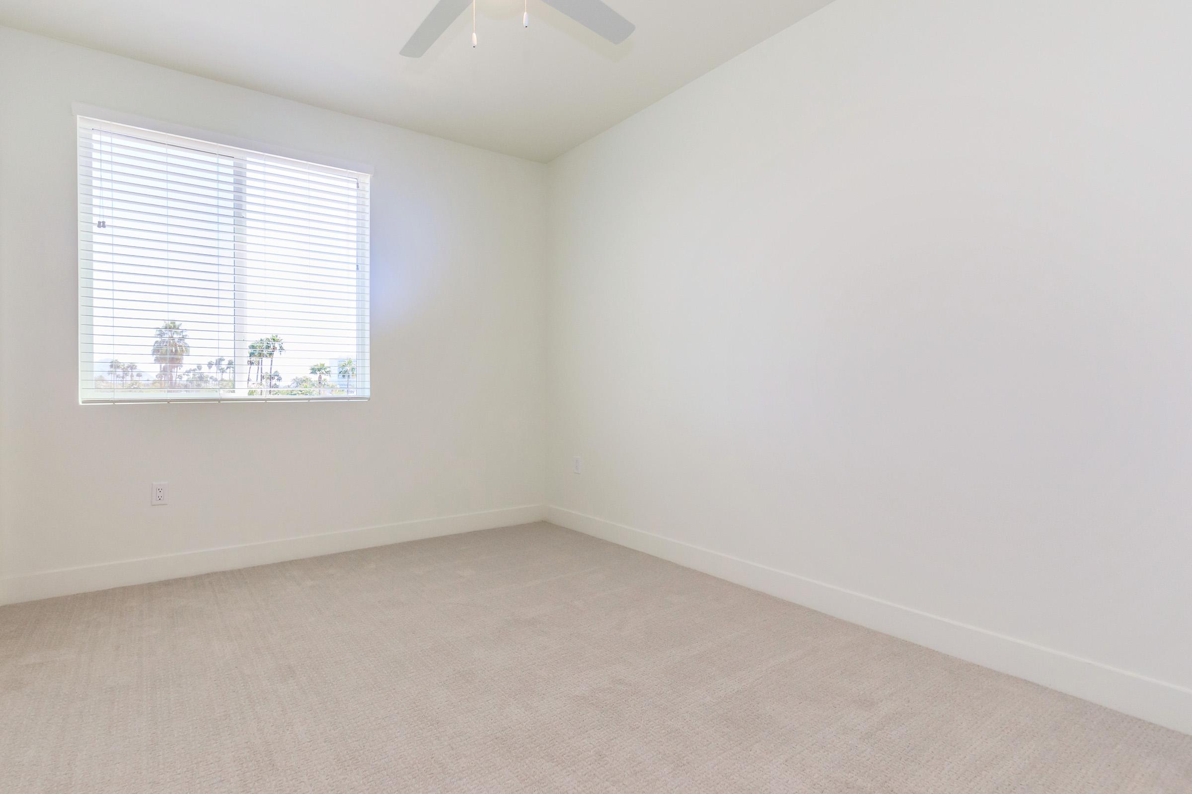 A bright, empty room with light-colored carpet and white walls. A window with blinds lets in natural light, revealing a view of palm trees outside. A ceiling fan is visible, and the space is free of furniture, creating an open and airy atmosphere.