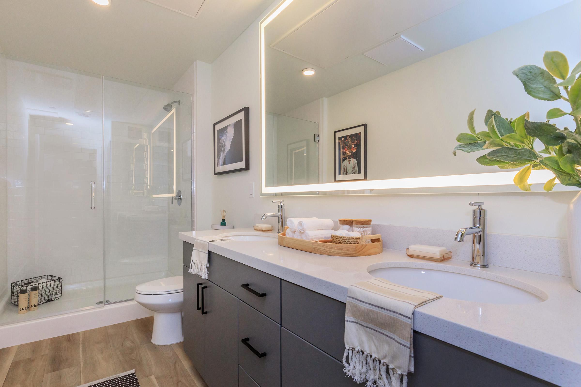 Modern bathroom featuring a sleek design with a large mirror illuminated by LED lights. A double sink countertop with dark cabinetry, neatly arranged towels, and a decorative tray. The space includes a glass shower enclosure and potted greenery, creating a fresh and inviting atmosphere.