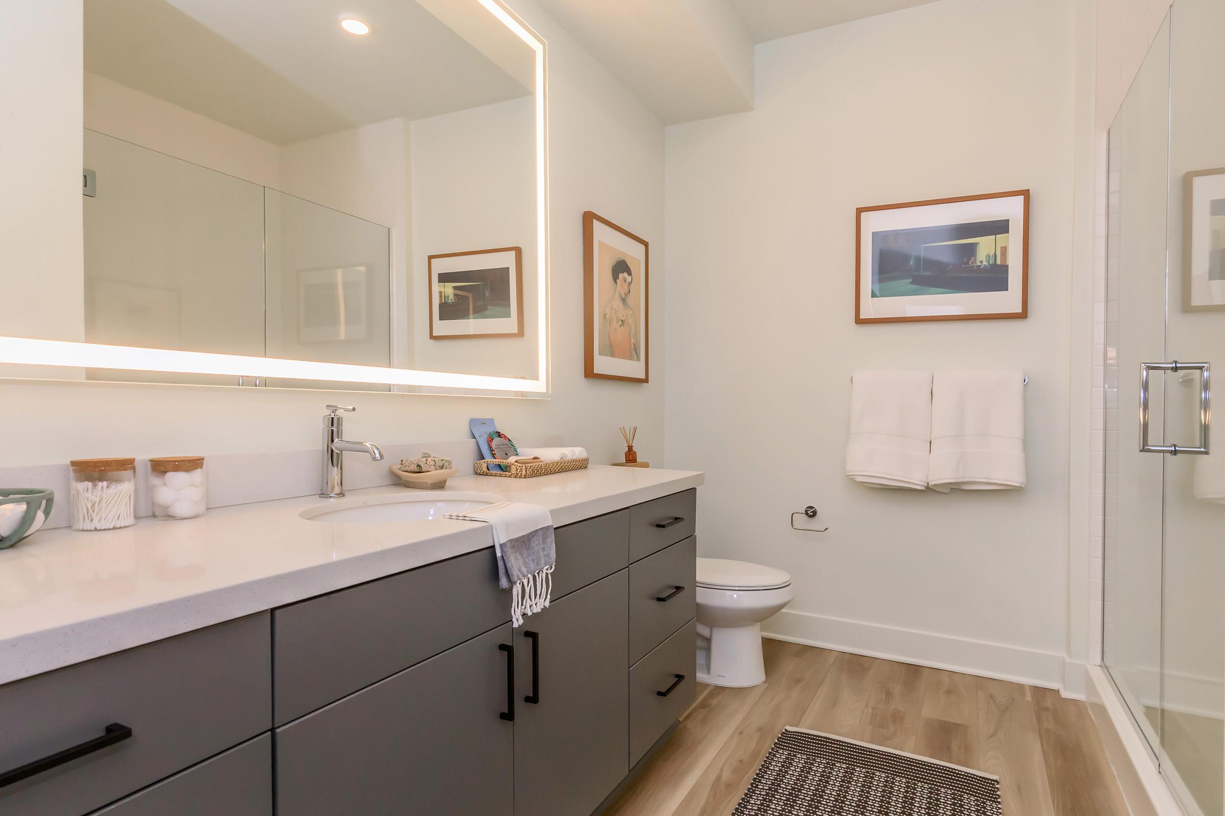 A modern bathroom featuring a sleek countertop with a sink, a large mirror, light-colored walls, and stylish decor. There are two framed artworks on the walls, fluffy towels hanging nearby, and a shower with glass doors. The flooring is light wood, creating a warm and inviting atmosphere.