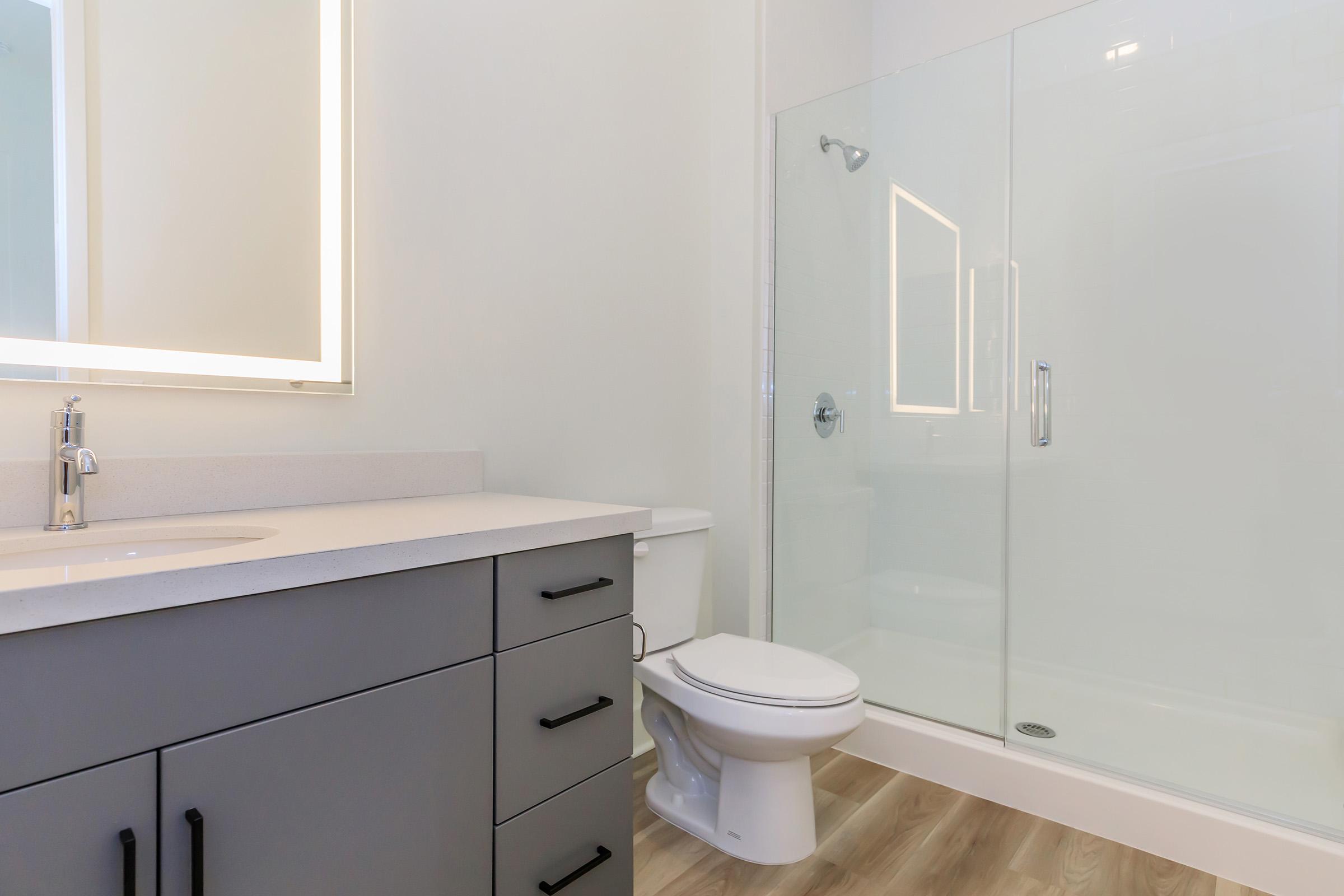 A modern bathroom featuring a glass shower enclosure, a sleek countertop with a sink, and a toilet. The walls are painted light, and there's a vertical mirror with integrated lighting above the sink, enhancing the bright and clean aesthetic. The flooring is made of light wood.