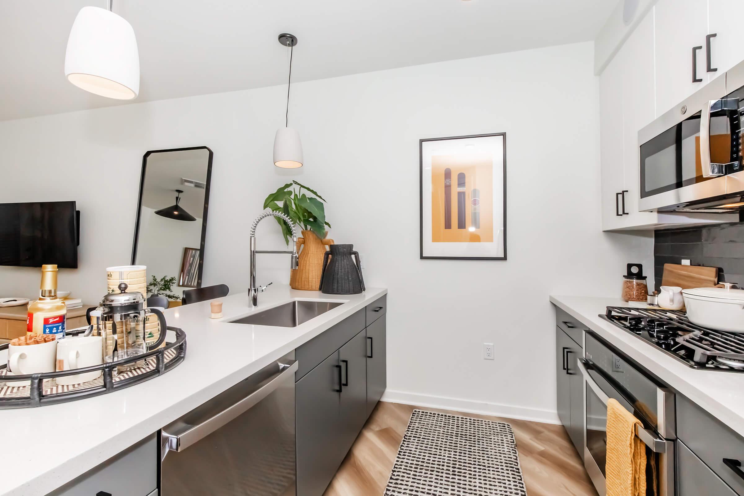 Modern kitchen featuring sleek gray cabinets, a large sink, and a gas stove. The space is accented with a wall-mounted mirror, a framed art piece, and decorative plants. A neatly arranged tray with kitchen essentials sits on the counter, complemented by a stylish rug on the floor. Bright lighting enhances the clean, contemporary design.