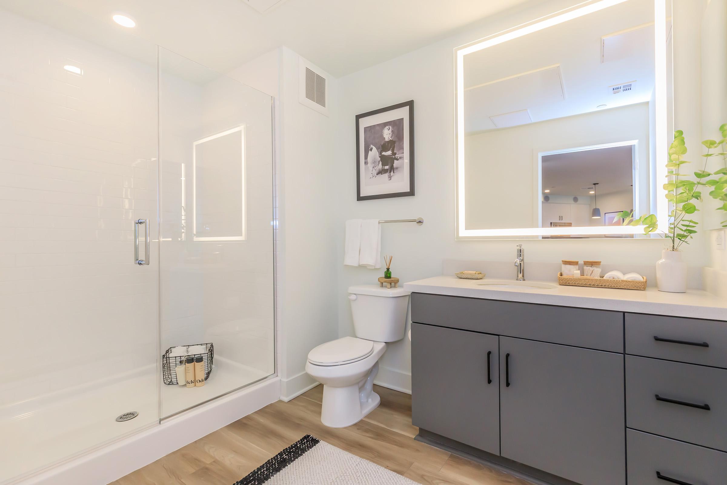 A modern bathroom featuring a glass shower enclosure, a white toilet, and a sleek gray vanity with a sink. There is a large illuminated mirror above the vanity, a framed picture on the wall, and a small plant on the countertop. The floor is wooden, and a textured rug is placed in front of the shower.