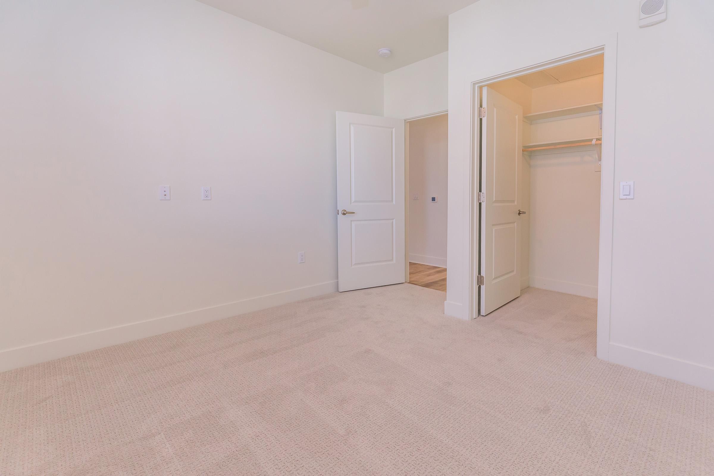 A light-colored room featuring beige carpet and plain walls. A door on the right leads to a closet with a shelving unit. The room is empty, creating a spacious feel with ample natural light.