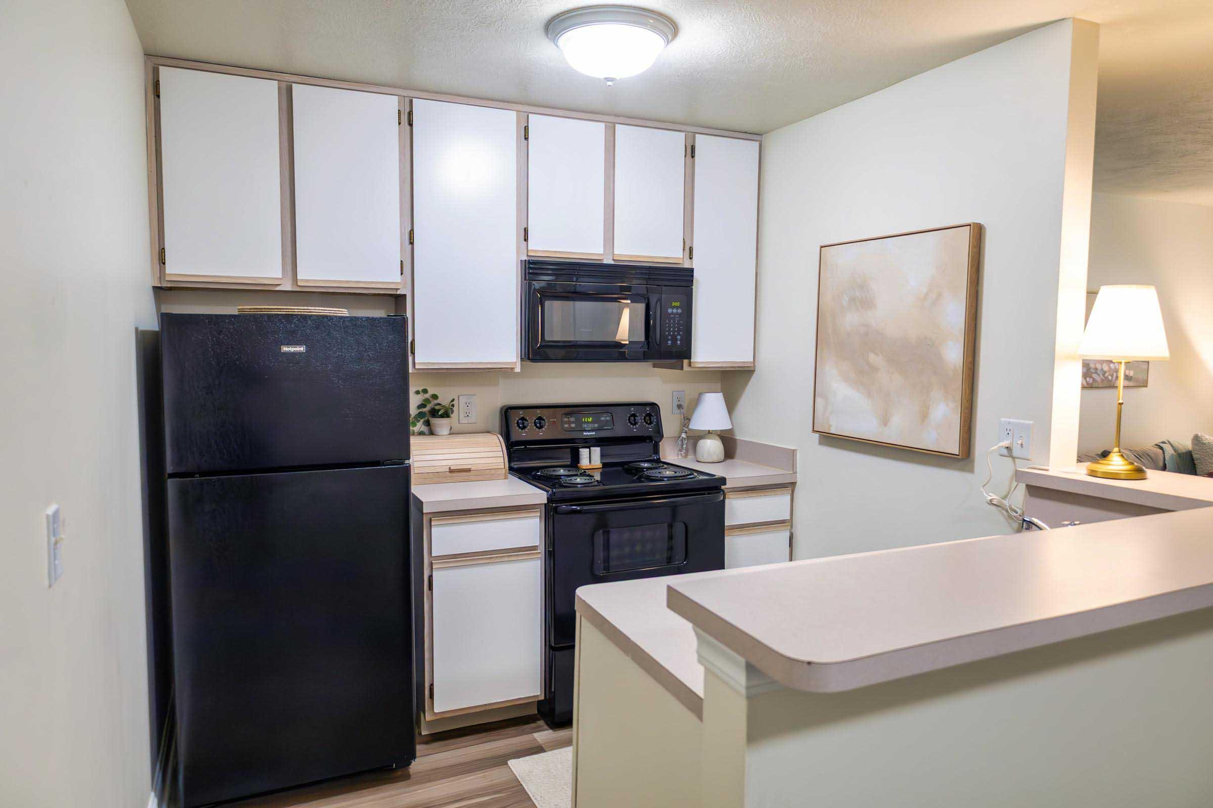 A modern kitchen featuring white cabinets, a black refrigerator, microwave, and stove. The countertop is light-colored, and there is a decorative painting on the wall. A lamp is visible in the background, contributing to a cozy atmosphere. The overall design is clean and inviting.