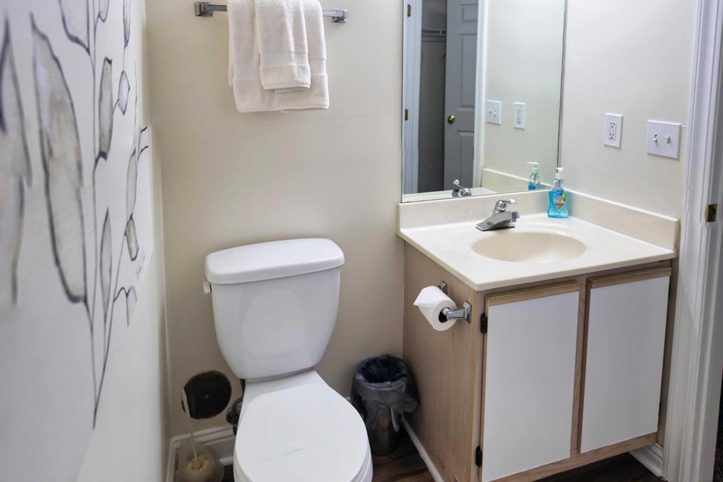 A small bathroom featuring a white toilet, a sink with a countertop, and a mirror. The walls are light-colored, and there is a towel rack with towels hanging. A small trash can is present next to the sink, and a decorative element can be seen on the wall.