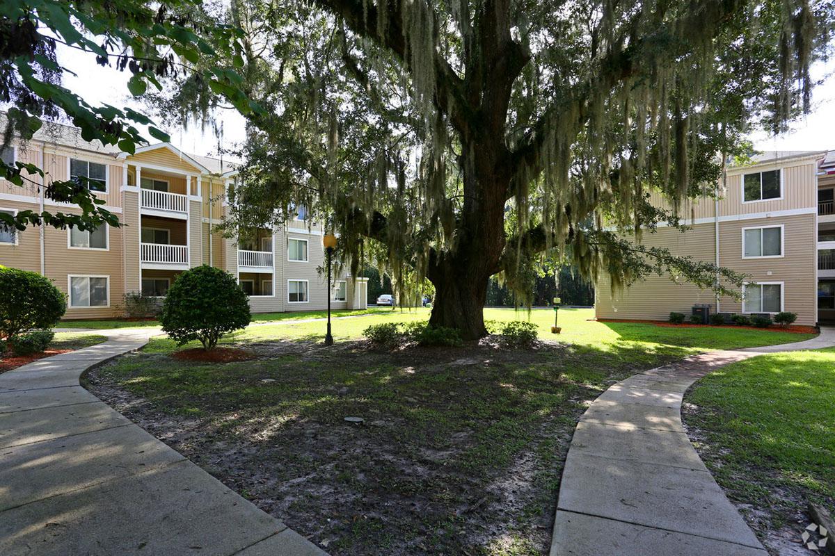 a path with trees on the side of a building