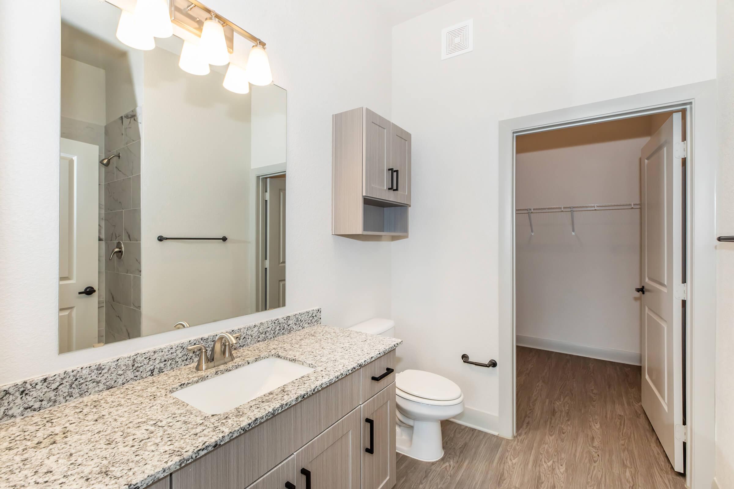 A modern bathroom featuring a light gray vanity with a granite countertop and sink, a large mirror with light fixtures above, a white toilet, and a walk-in closet visible through an open door. The walls are painted in light colors, and the flooring is light wood.