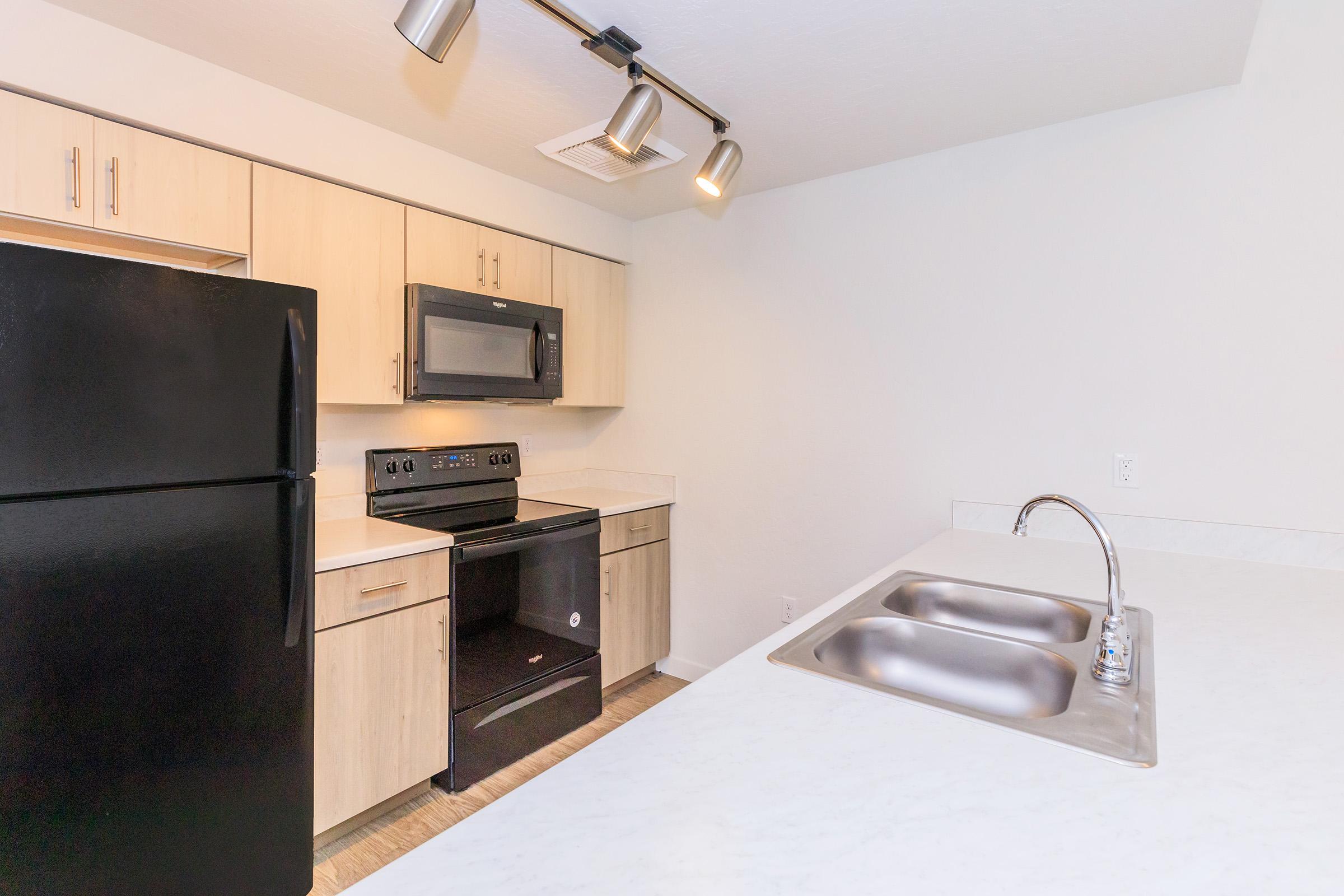 Modern kitchen featuring light wood cabinetry, black appliances including a refrigerator and oven, and a sleek countertop with an under-mount double sink. The space is illuminated by track lighting, creating a bright and inviting atmosphere.
