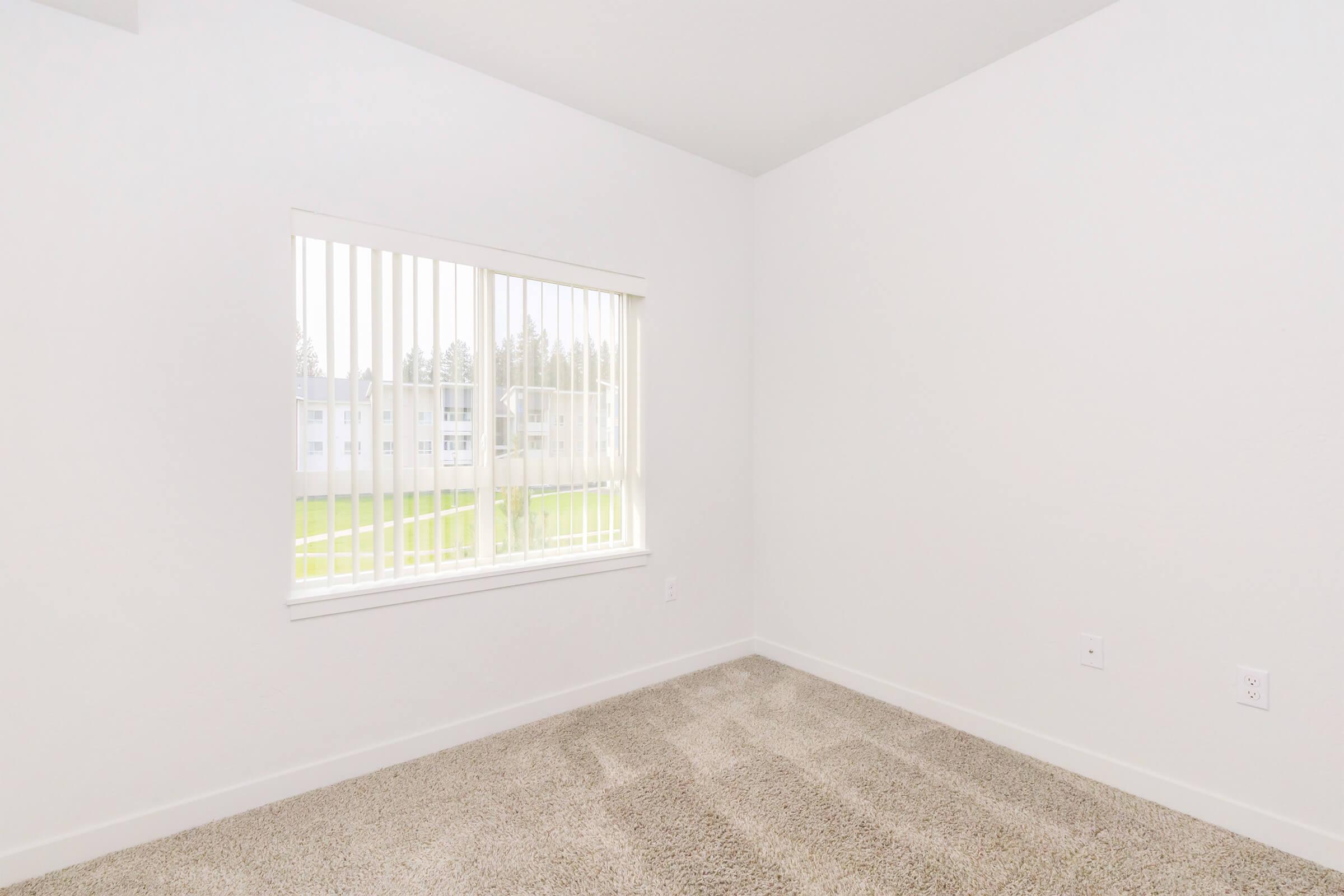 A bright, empty room with white walls and light beige carpet. There is a large window with vertical blinds allowing natural light to enter, offering a view of green grass outside. The space is uncluttered, creating a blank canvas for potential furnishings or decoration.