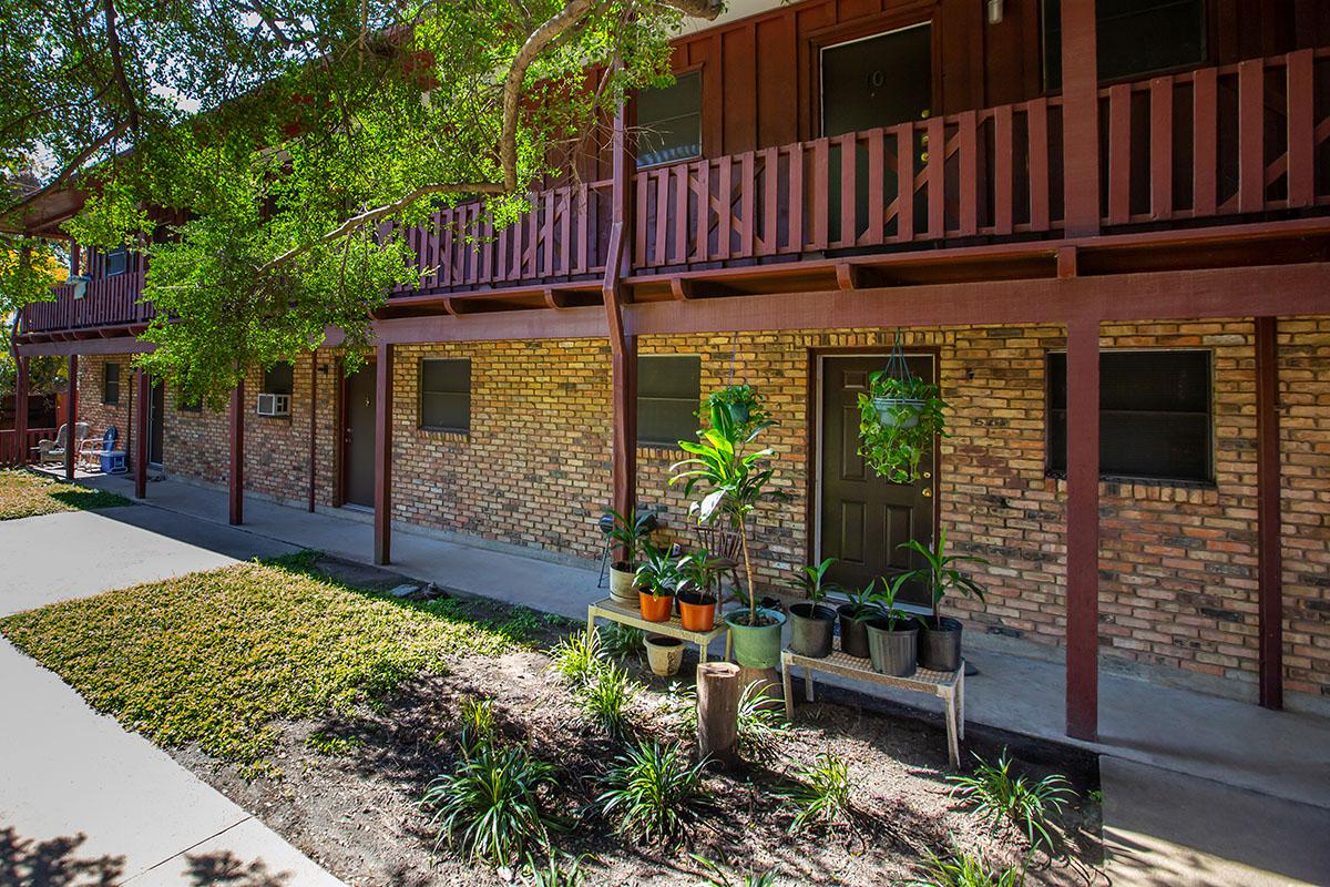 a path with trees on the side of a building