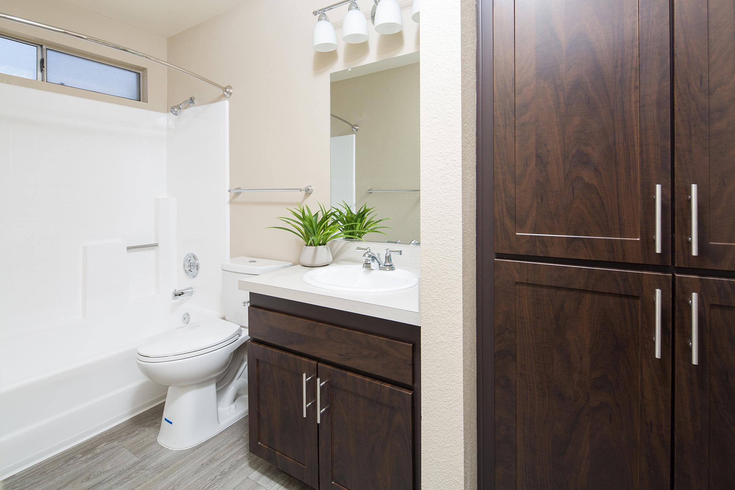 A modern bathroom featuring a white bathtub with a shower, a toilet, a sink with a mirror above, and dark wood cabinetry. The decor includes a small potted plant on the sink and neutral-colored walls, giving the space a clean and inviting look.