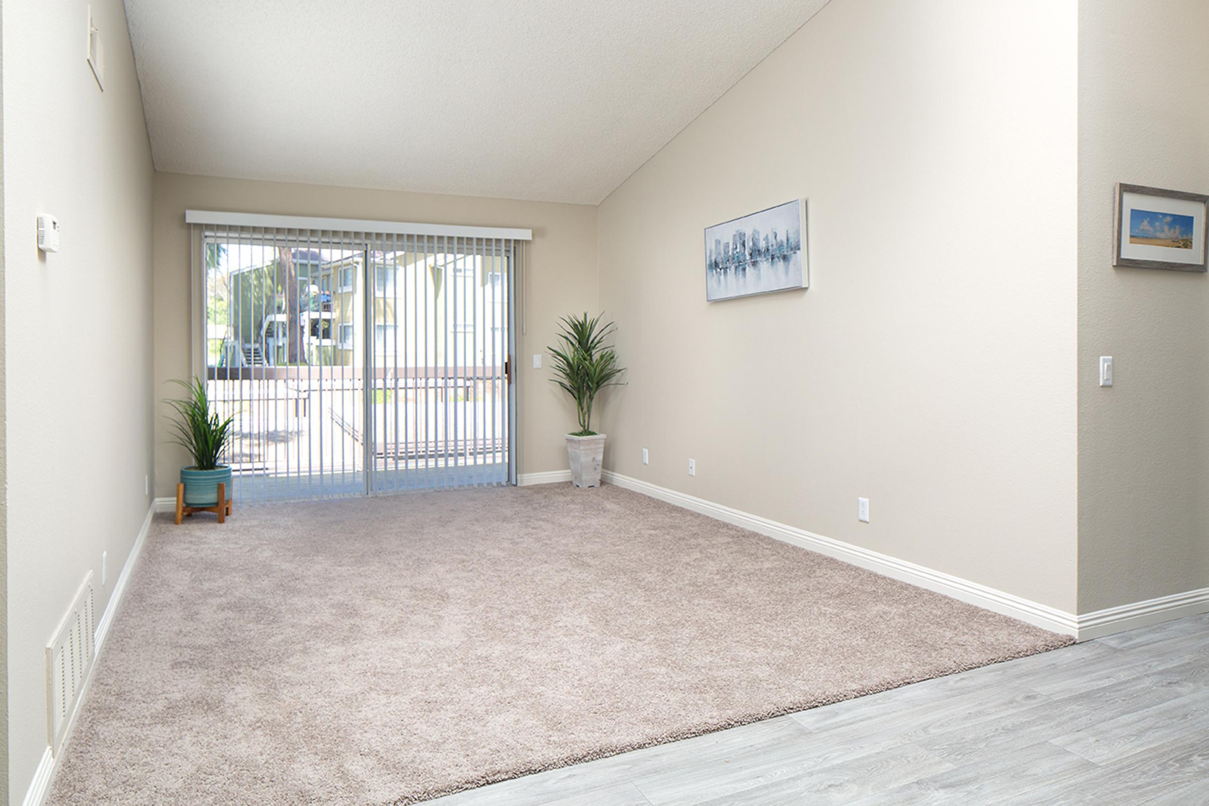 A spacious, empty living room featuring light beige walls and plush beige carpeting. A sliding glass door leads to an outdoor area, with sheer blinds partially opened. There's a small potted plant in the corner and a framed picture on the wall, creating a bright and inviting atmosphere.