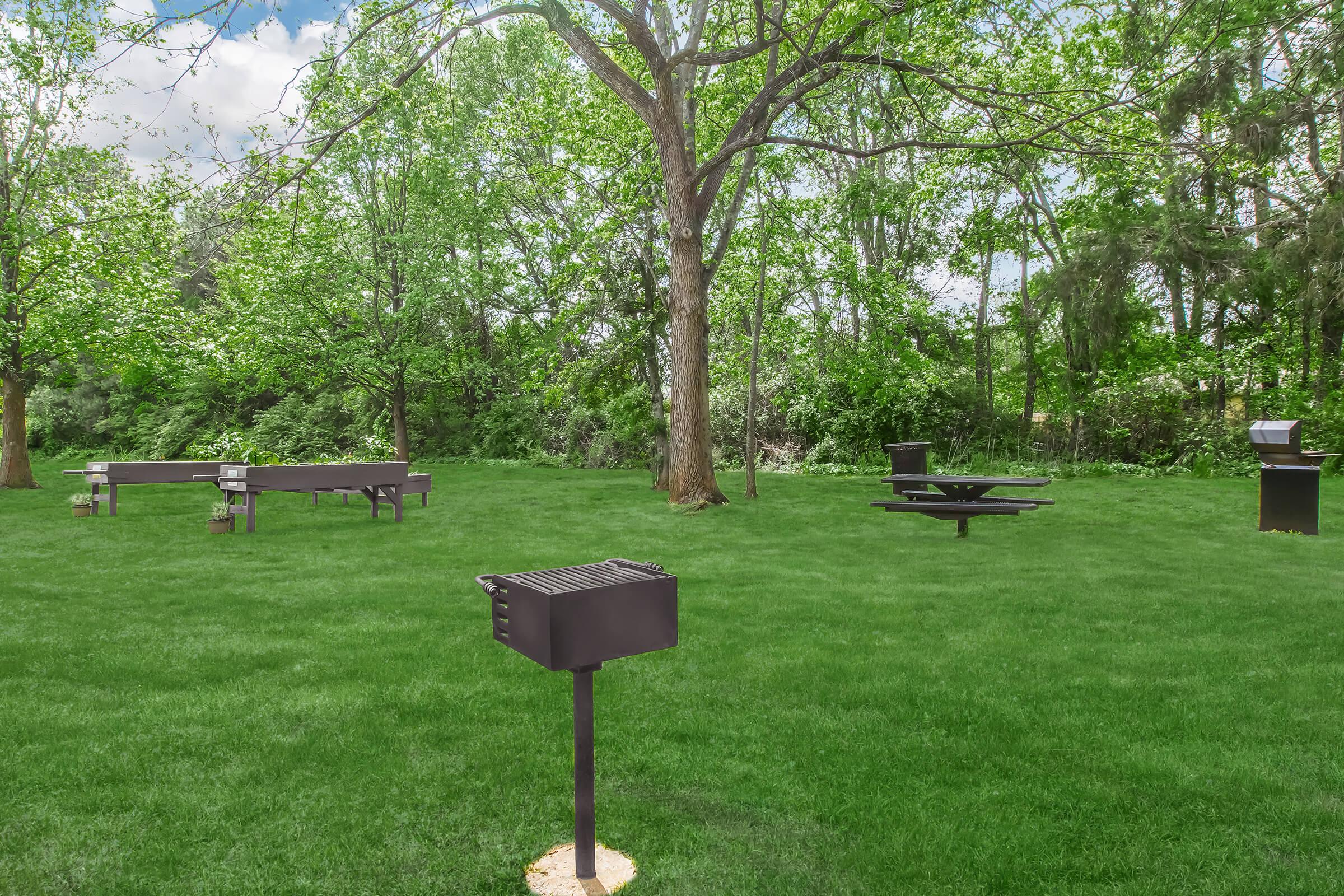 A vibrant park scene featuring a well-maintained grassy area with several picnic tables and charcoal grills. Majestic trees provide shade, while the clear sky and lush greenery create a serene atmosphere, ideal for outdoor gatherings and barbecues.