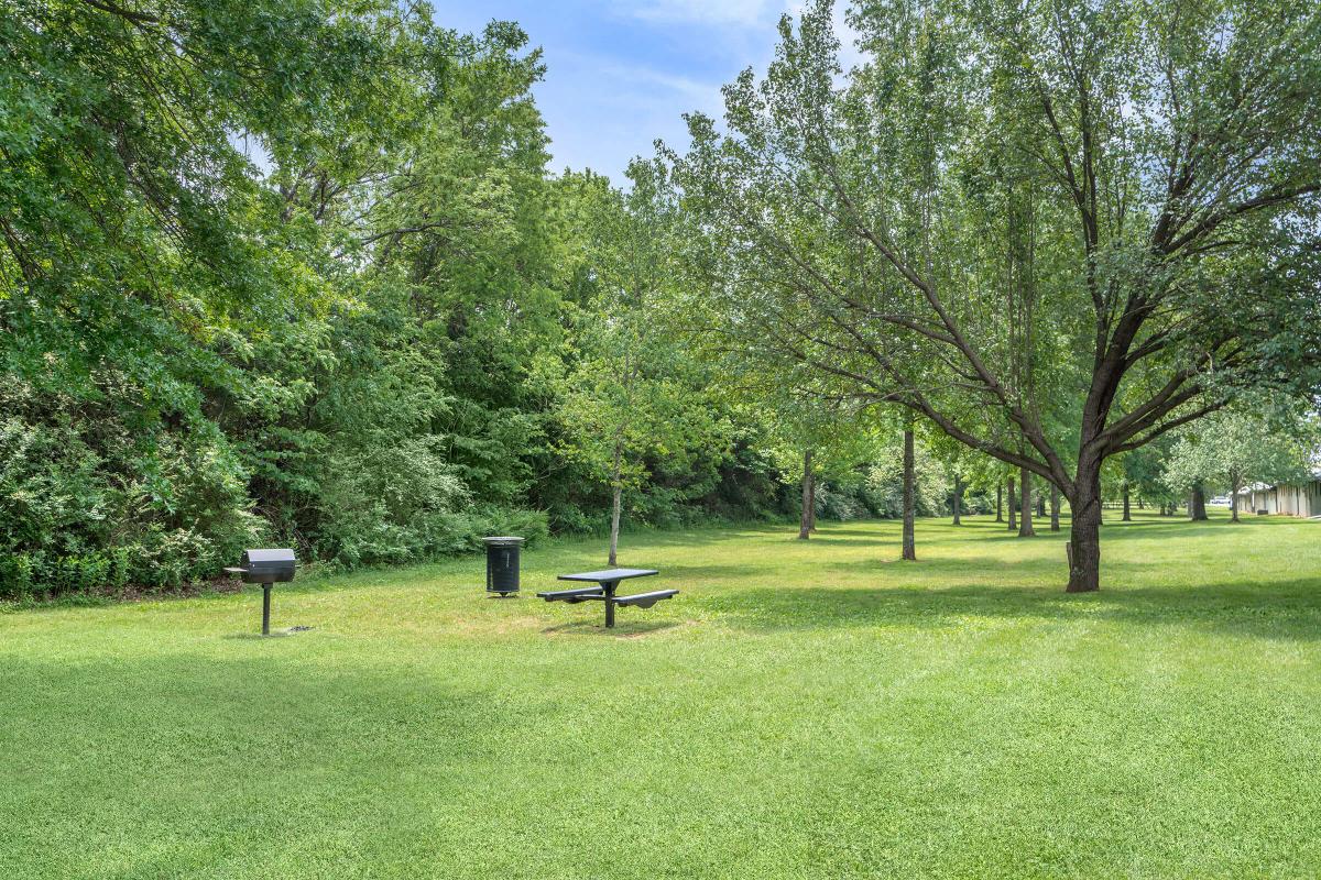 Picnic Area With Barbecue Grills