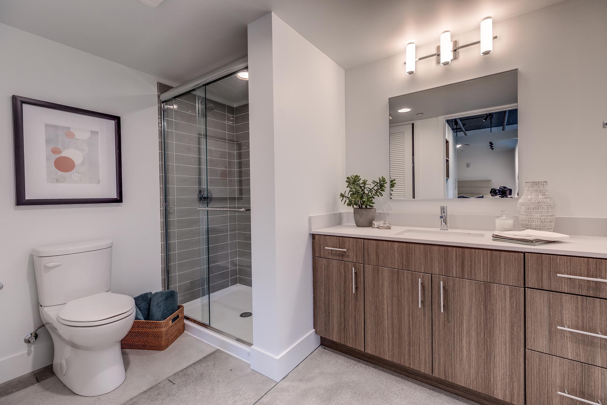 Modern bathroom featuring a walk-in shower, sleek vanity with wood cabinetry, a framed abstract art piece on the wall, a white toilet, and decorative items like a plant and towels. Soft lighting from above creates a warm ambiance, with a clean, minimalist design and polished concrete flooring.
