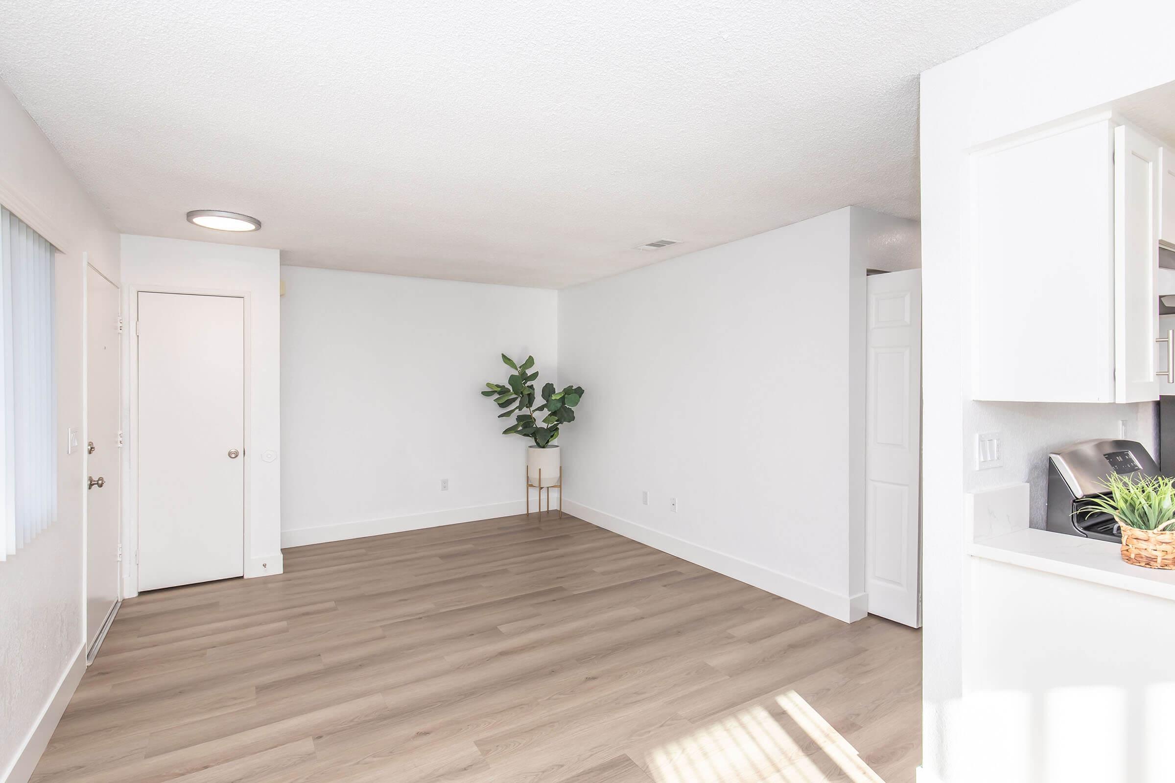 Spacious, empty room featuring light-colored walls and wooden flooring. A potted plant sits on a small stand in one corner. There is a closed door on one side and a light fixture on the ceiling. The opposite side shows a glimpse of a kitchen area with cabinetry, but it is not fully visible.